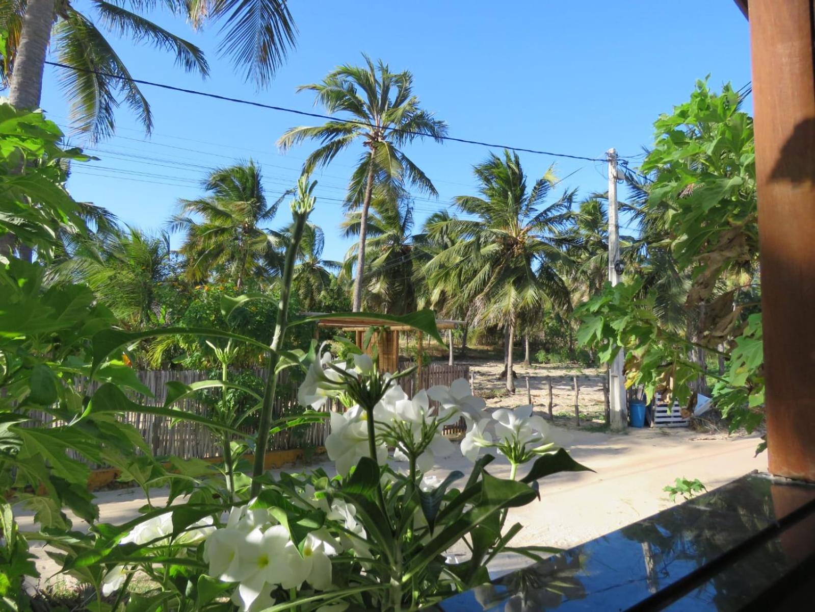 Villa dos Coqueirais