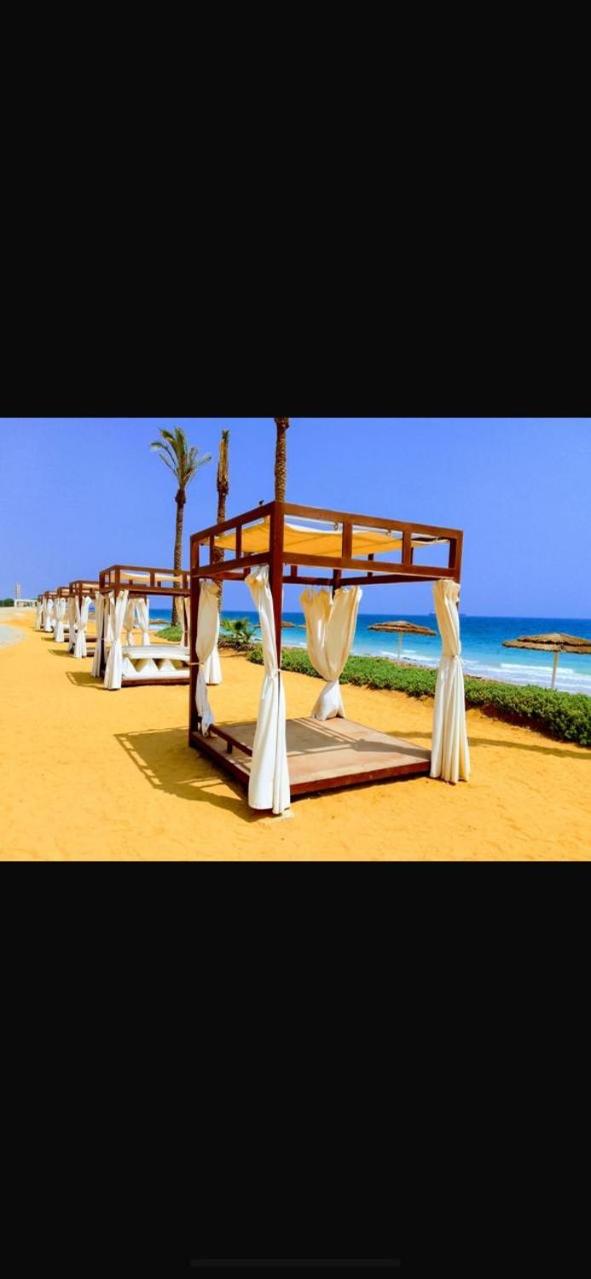 The groove el galala
