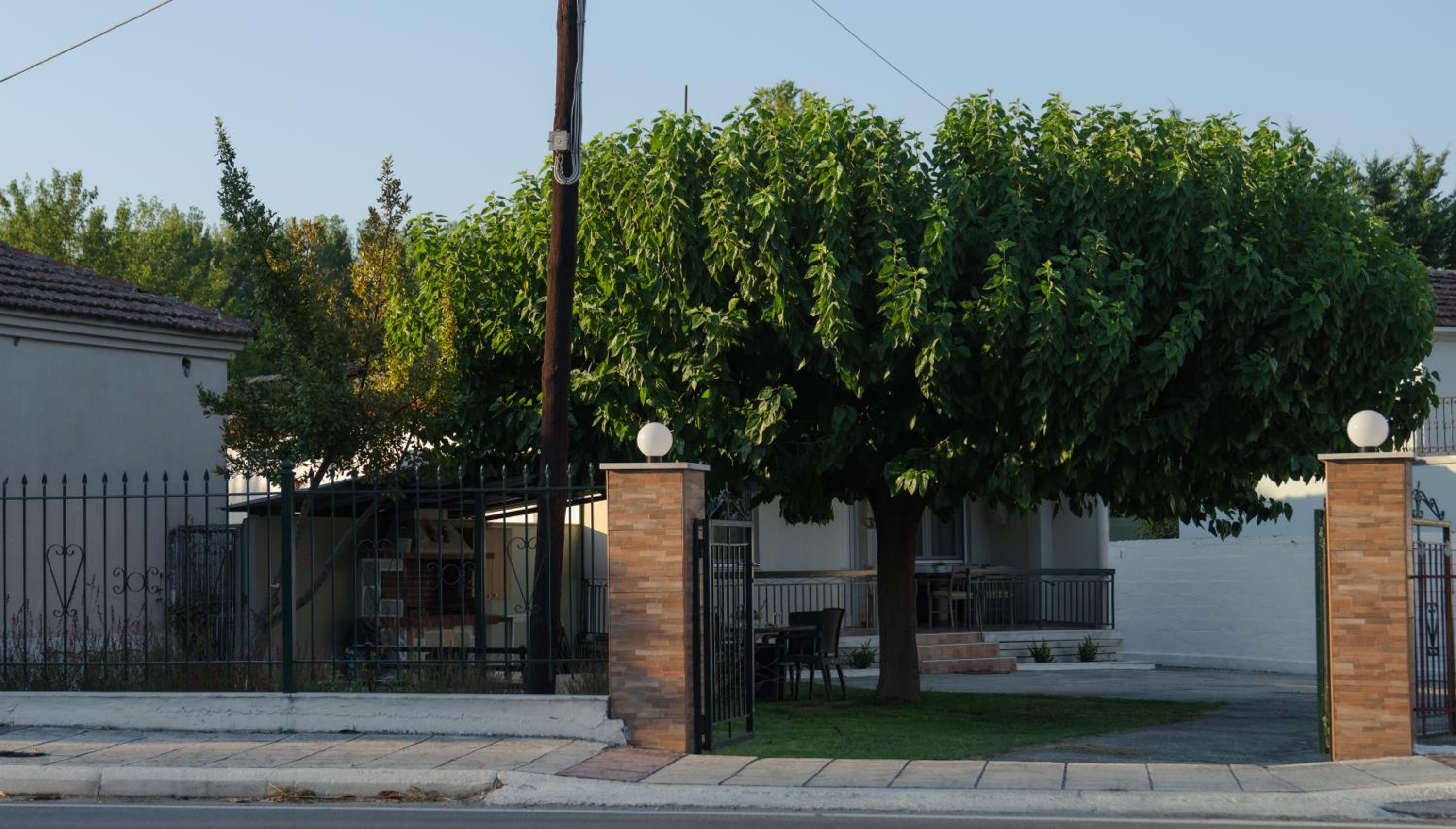 Roots House Pozar view 4