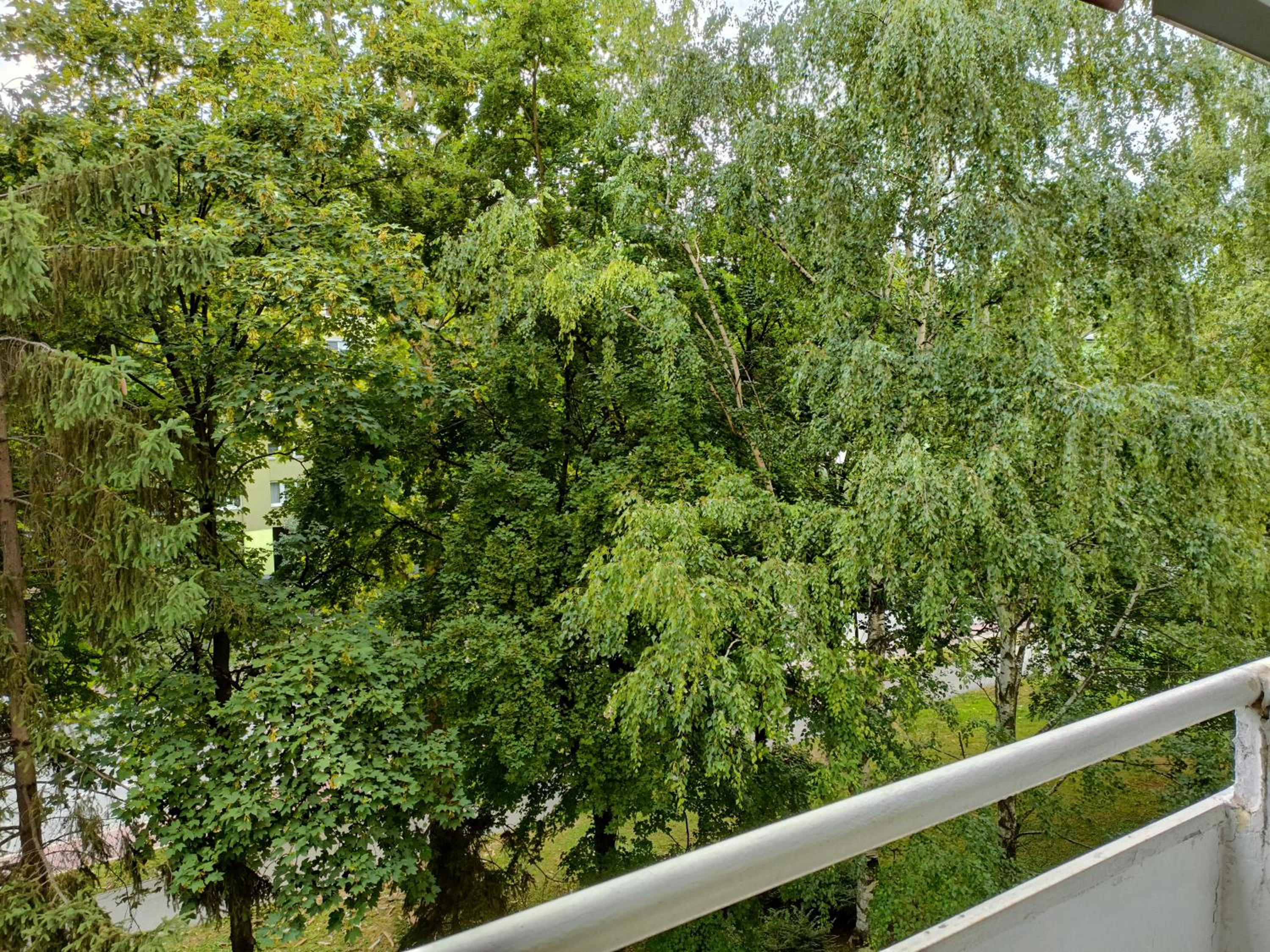 2 Bedroom Apartment, Grbavicka
