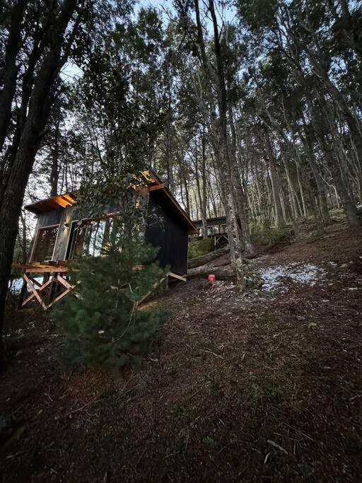 Tiny house sobre el lago nahuel huapi