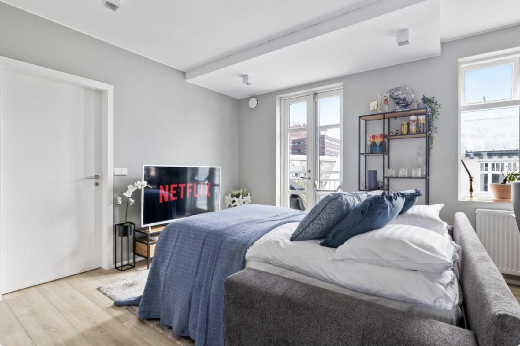 Cheerful Down Town Apartment view 3