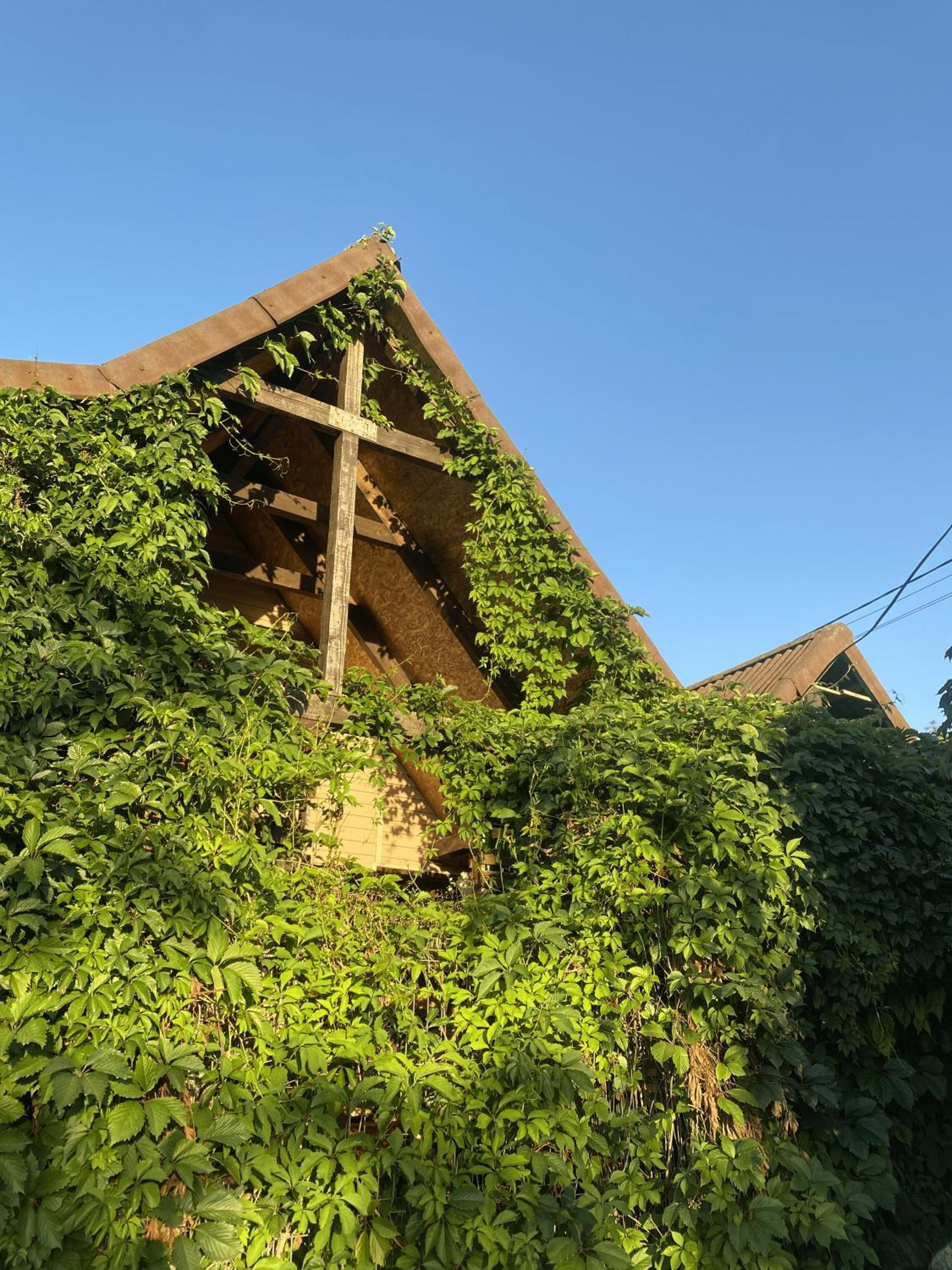 Photo 42
