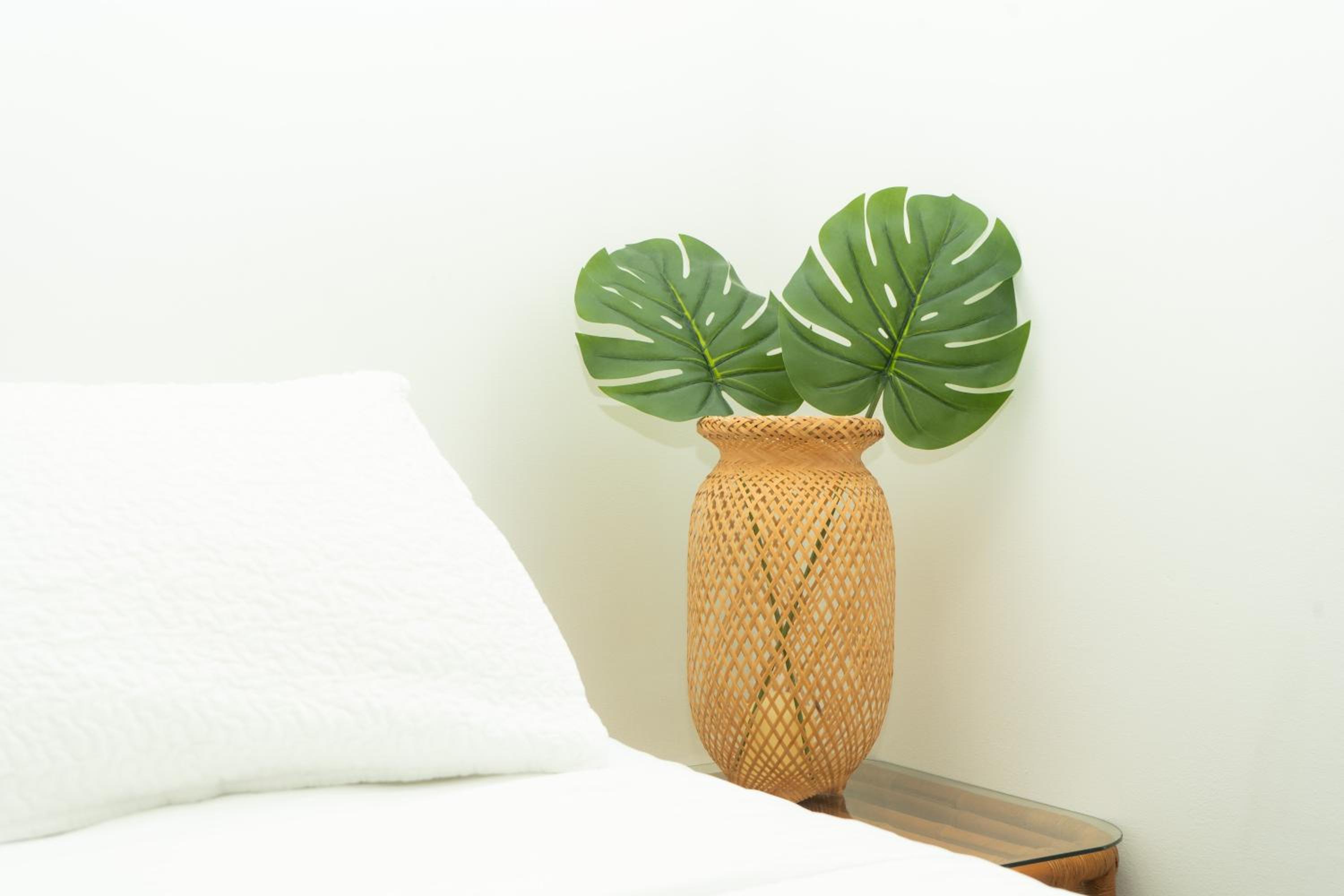 Puesta del Sol Guest House