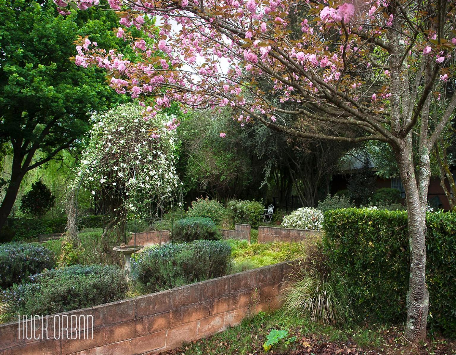 Birches Cottage & the Willows Garden Room view 5