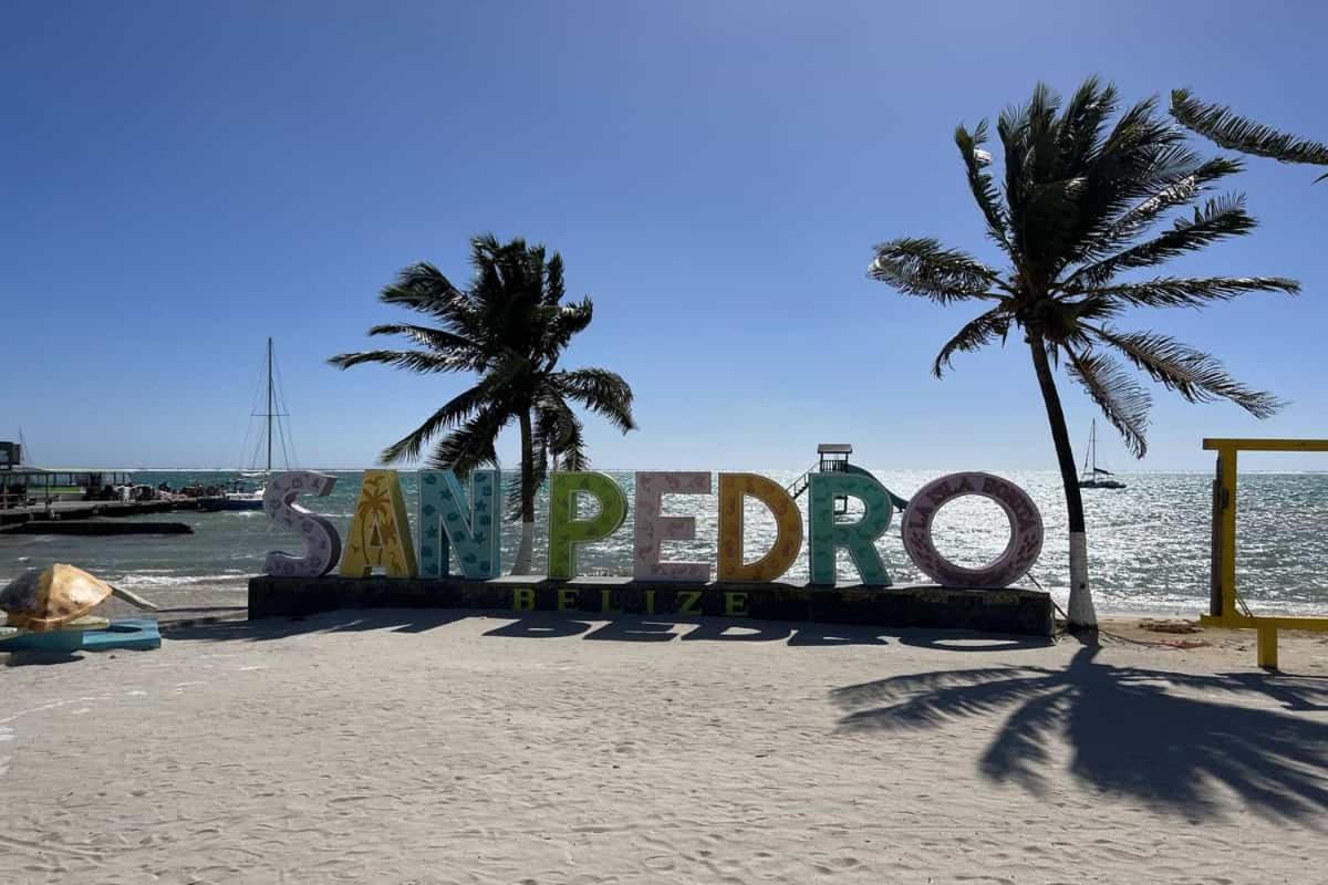Residences at Barrier Reef 1-1C Oceanfront 2 BR by Stay Floreo