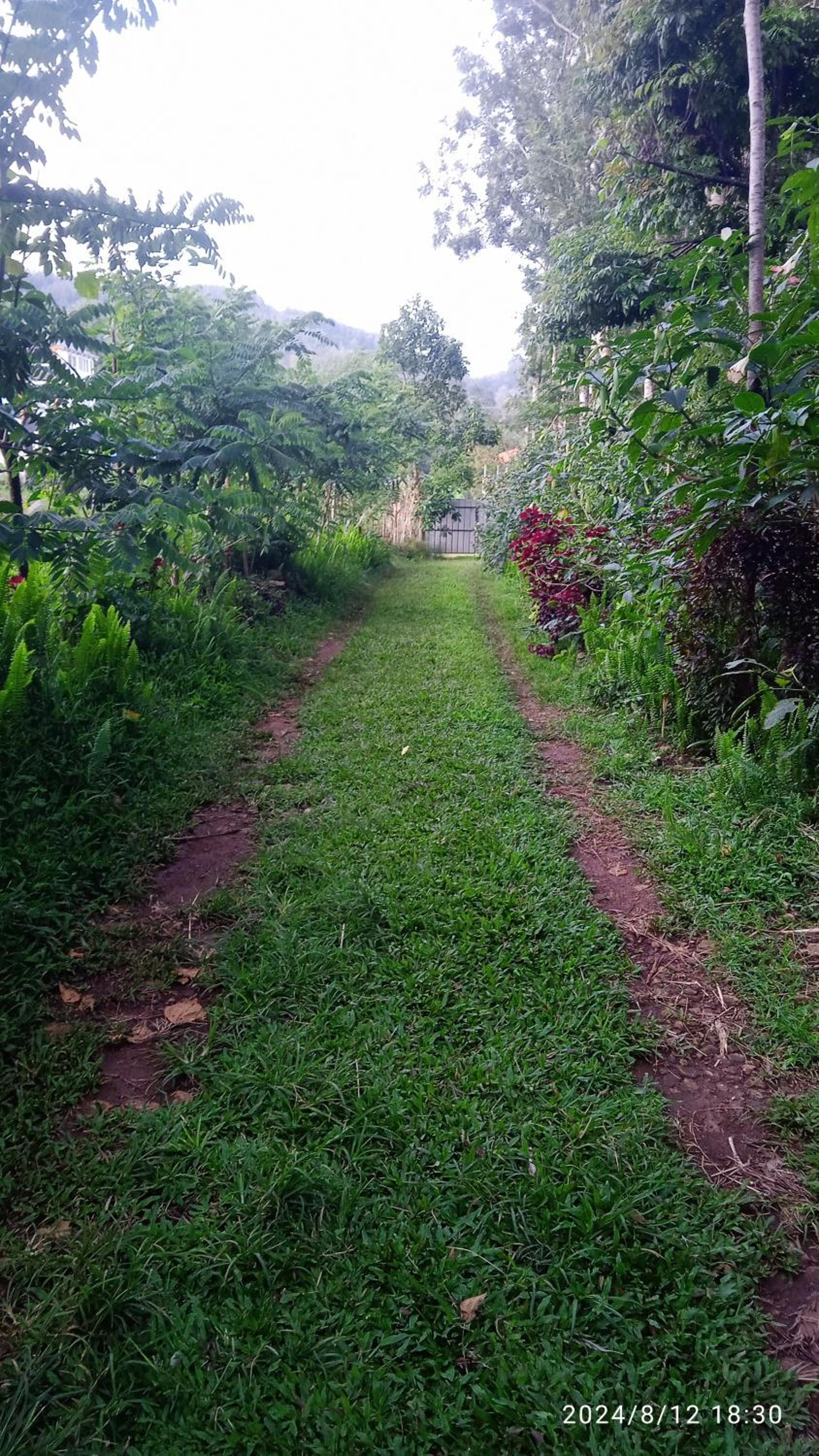 Farmer Homestay yercaud