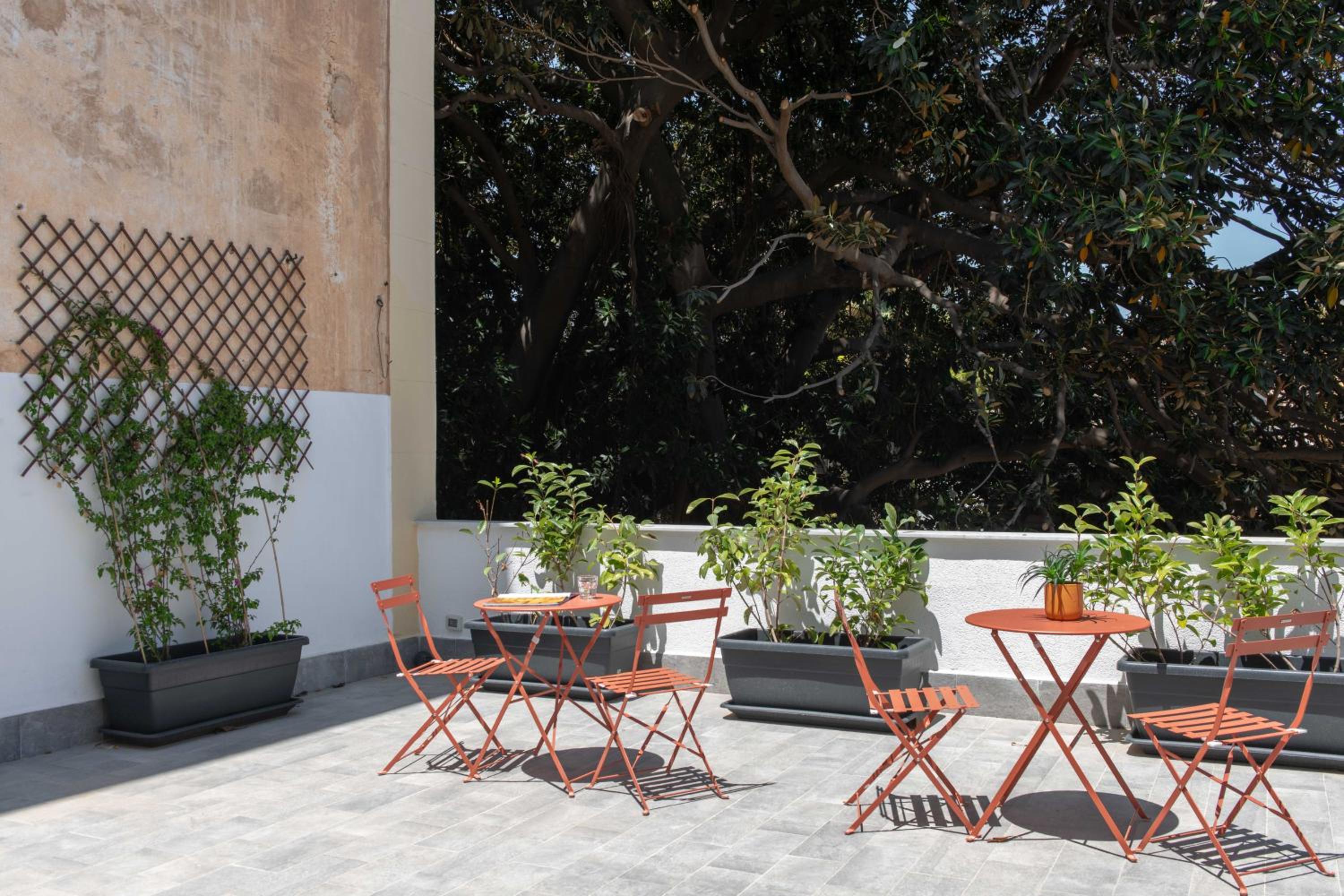 balance & terrace