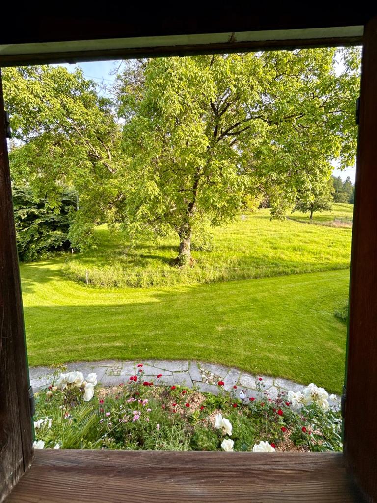 B&B Bad Tiefenau, HAUS AN DER QUELLE