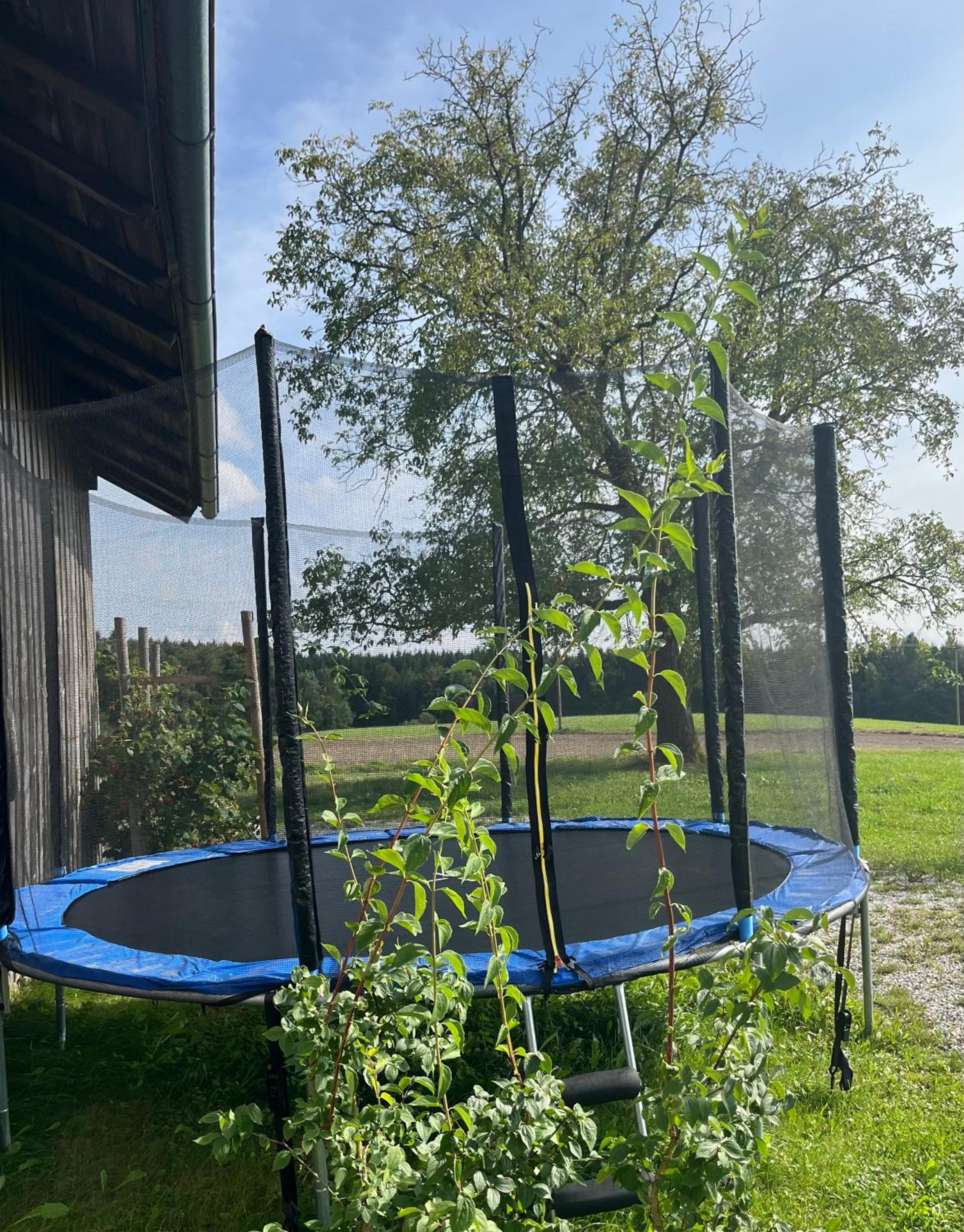 Ferienwohnung Metzner