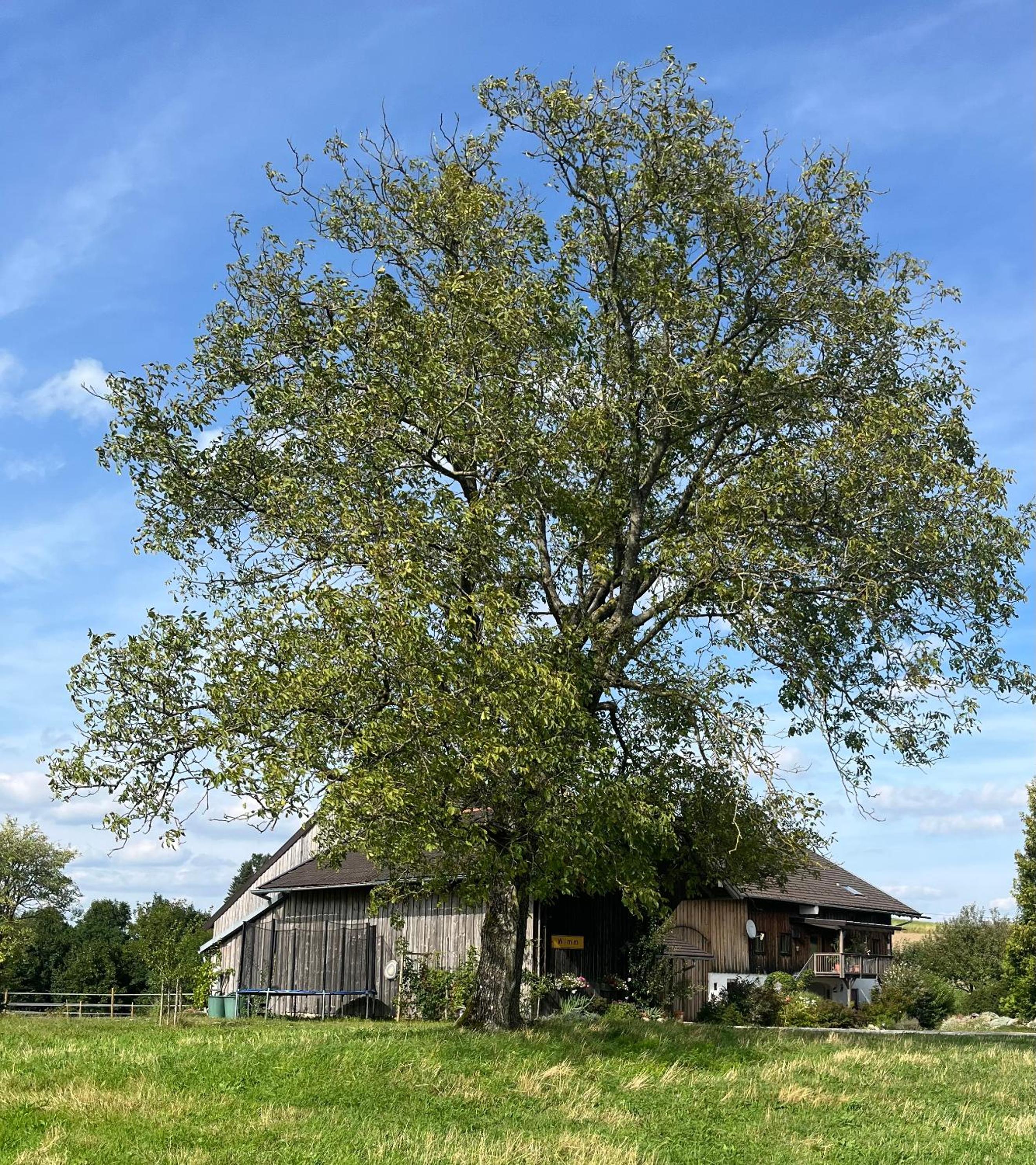 Ferienwohnung Metzner