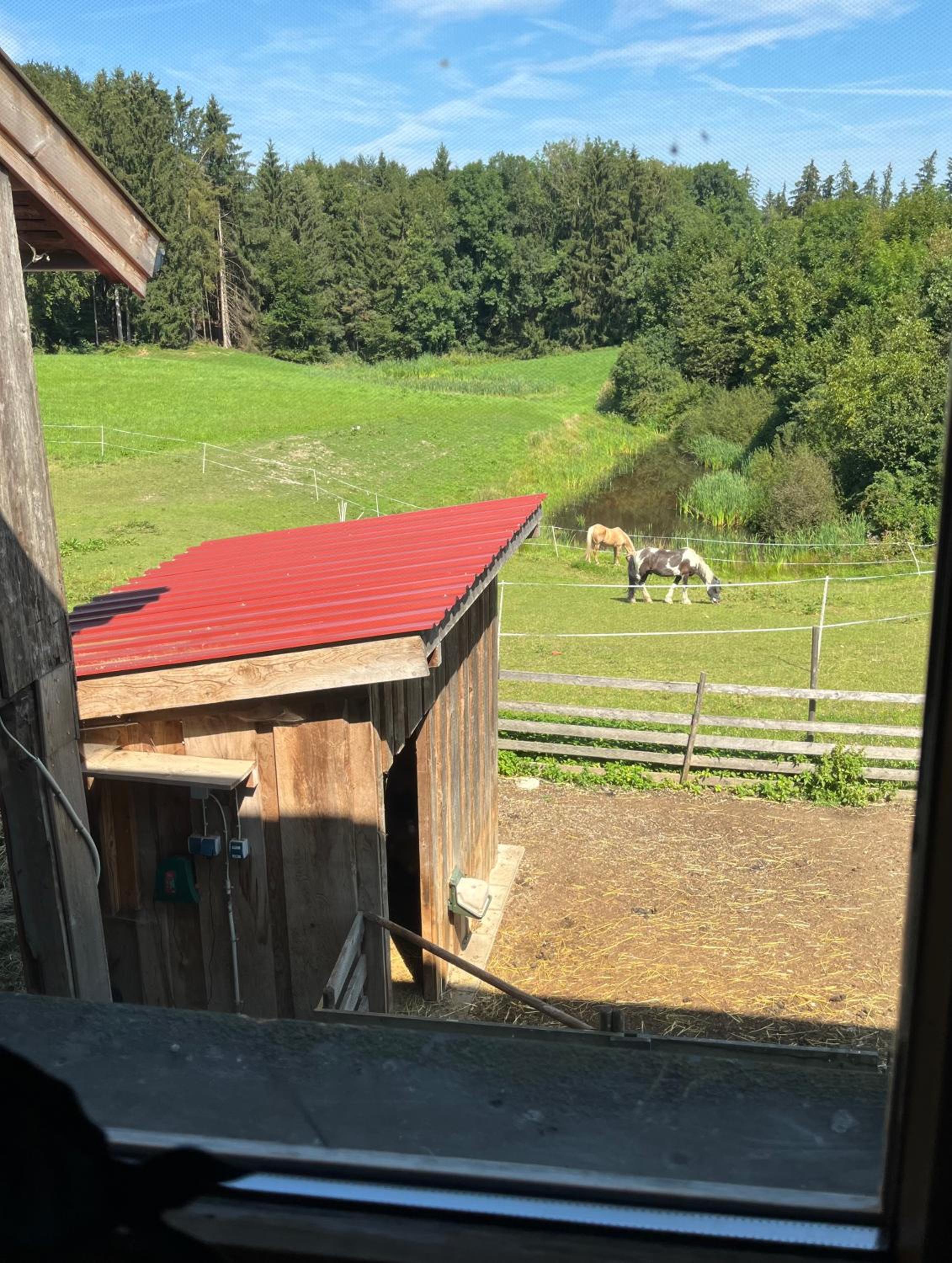 Ferienwohnung Metzner