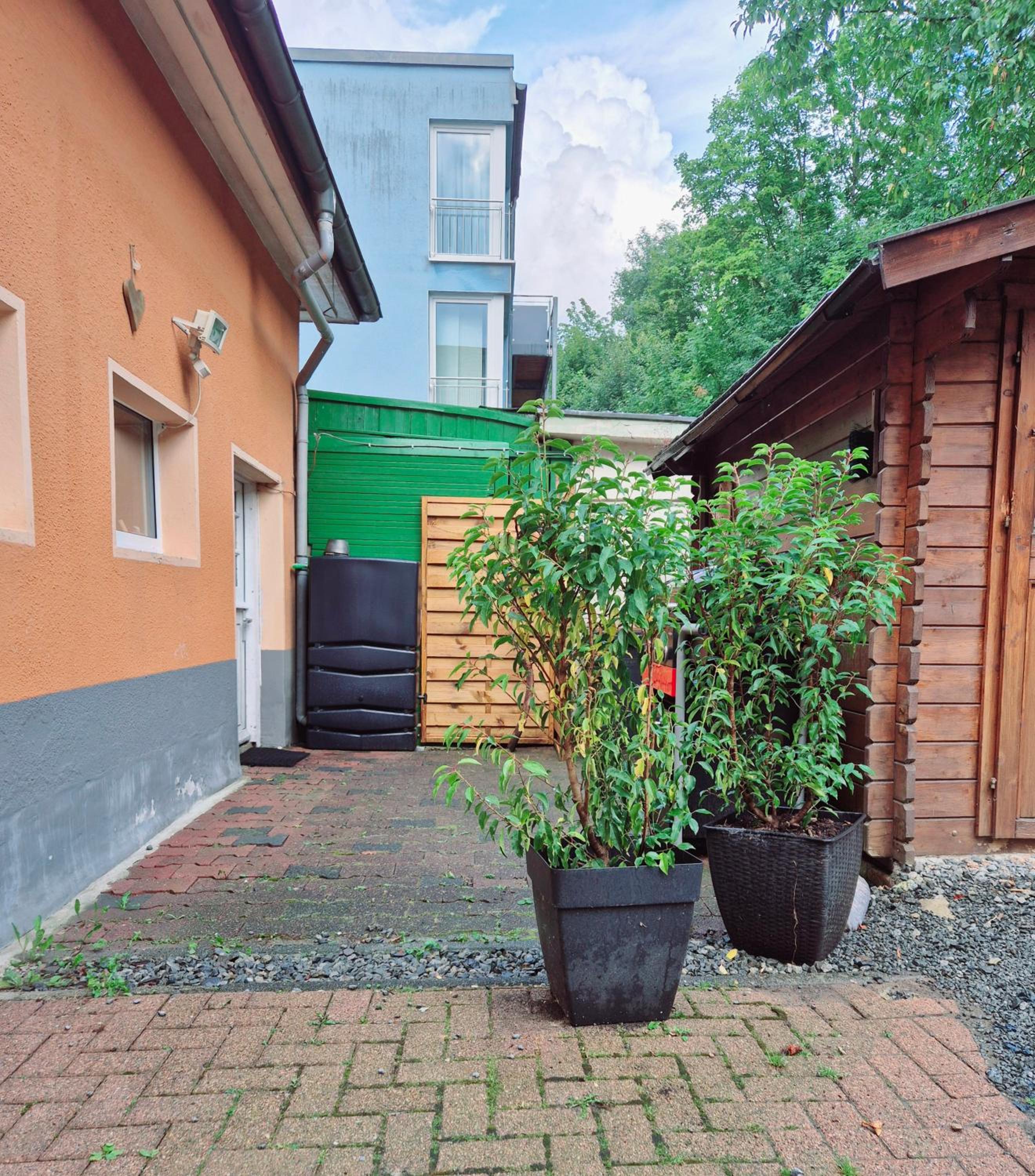 An der Baumgarten