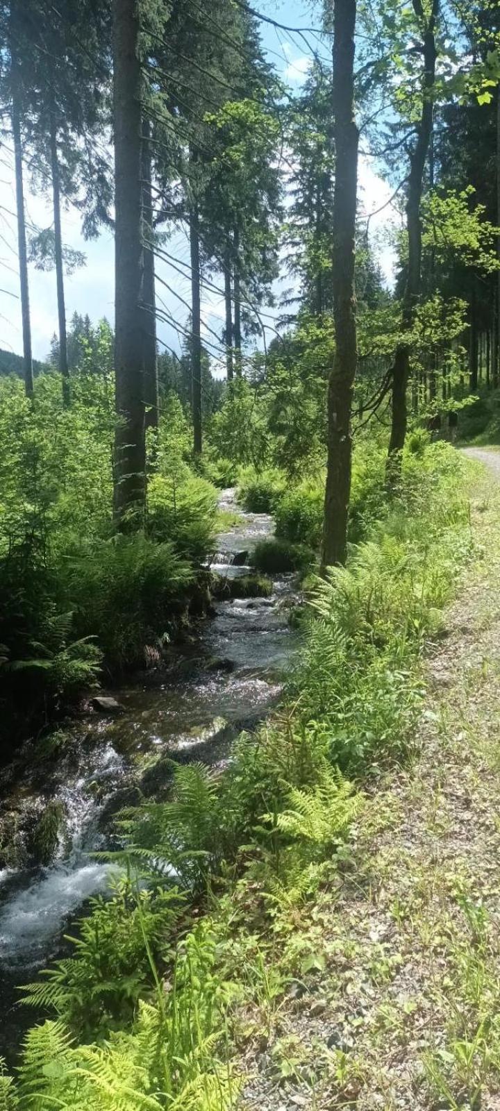Ferienwohnungen Börnert am 