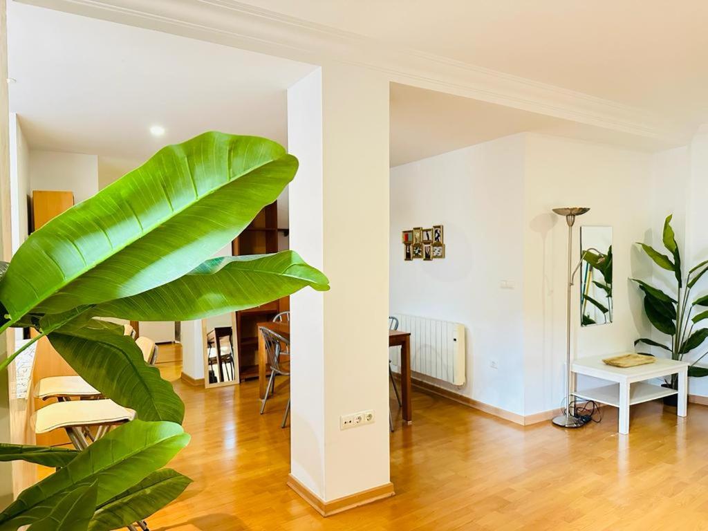 Strella home
