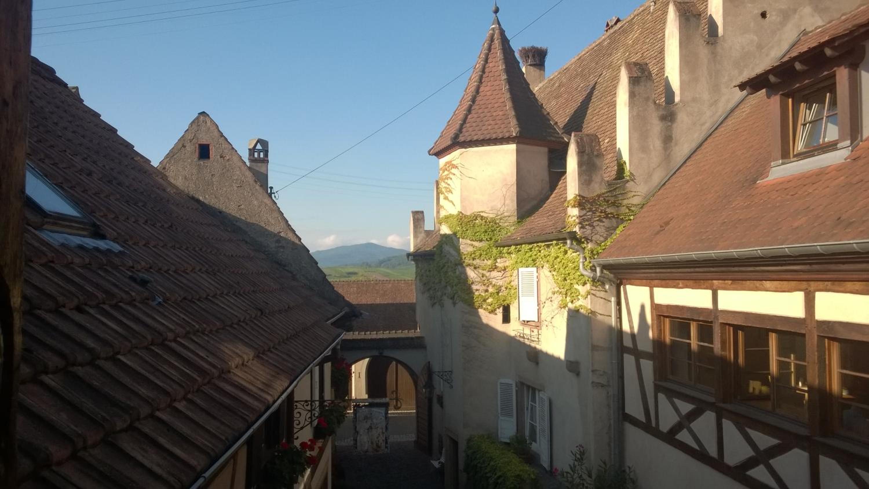 Le Grenier Des Arômes Au Domaine Wittmann