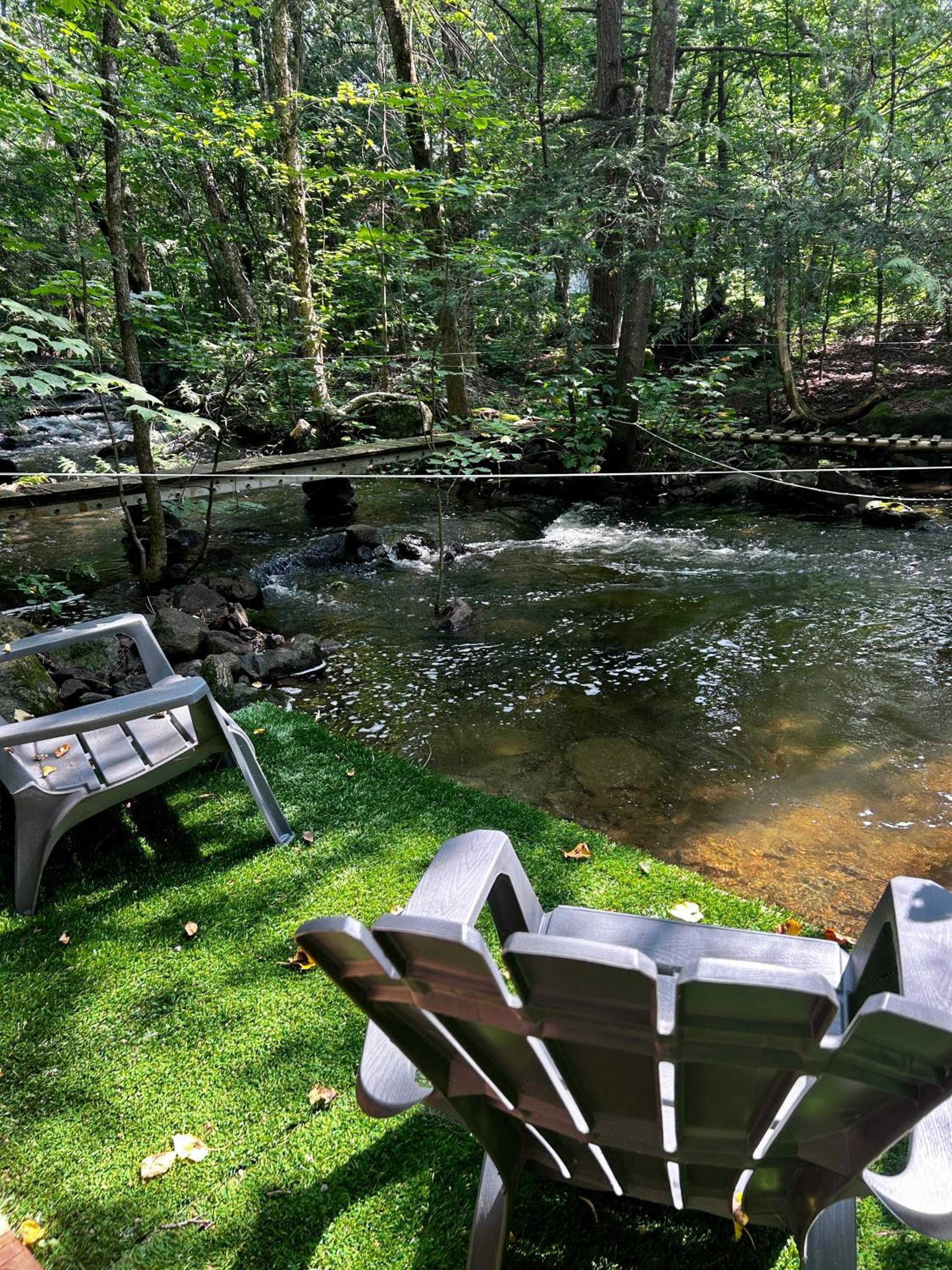 Blue Moon Cozy, Hot Tub, Close to Everything