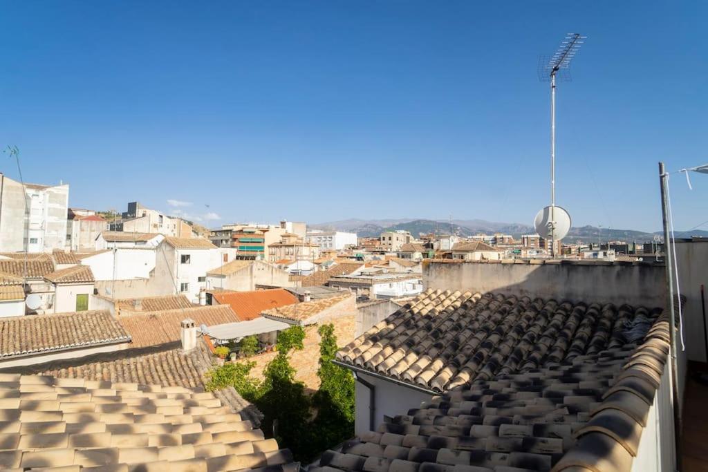roof