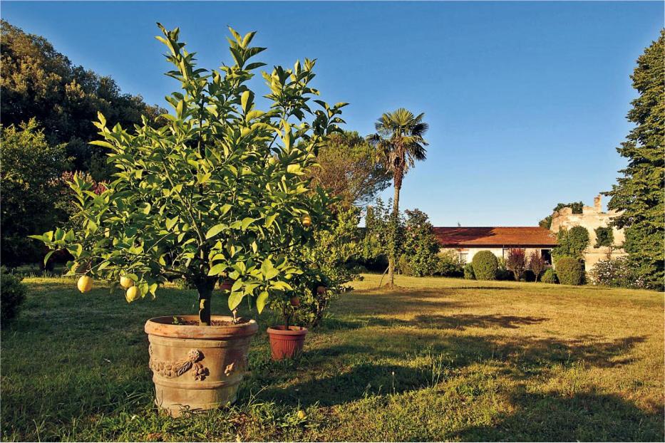 Fattoria Agriturismo Bigongiari