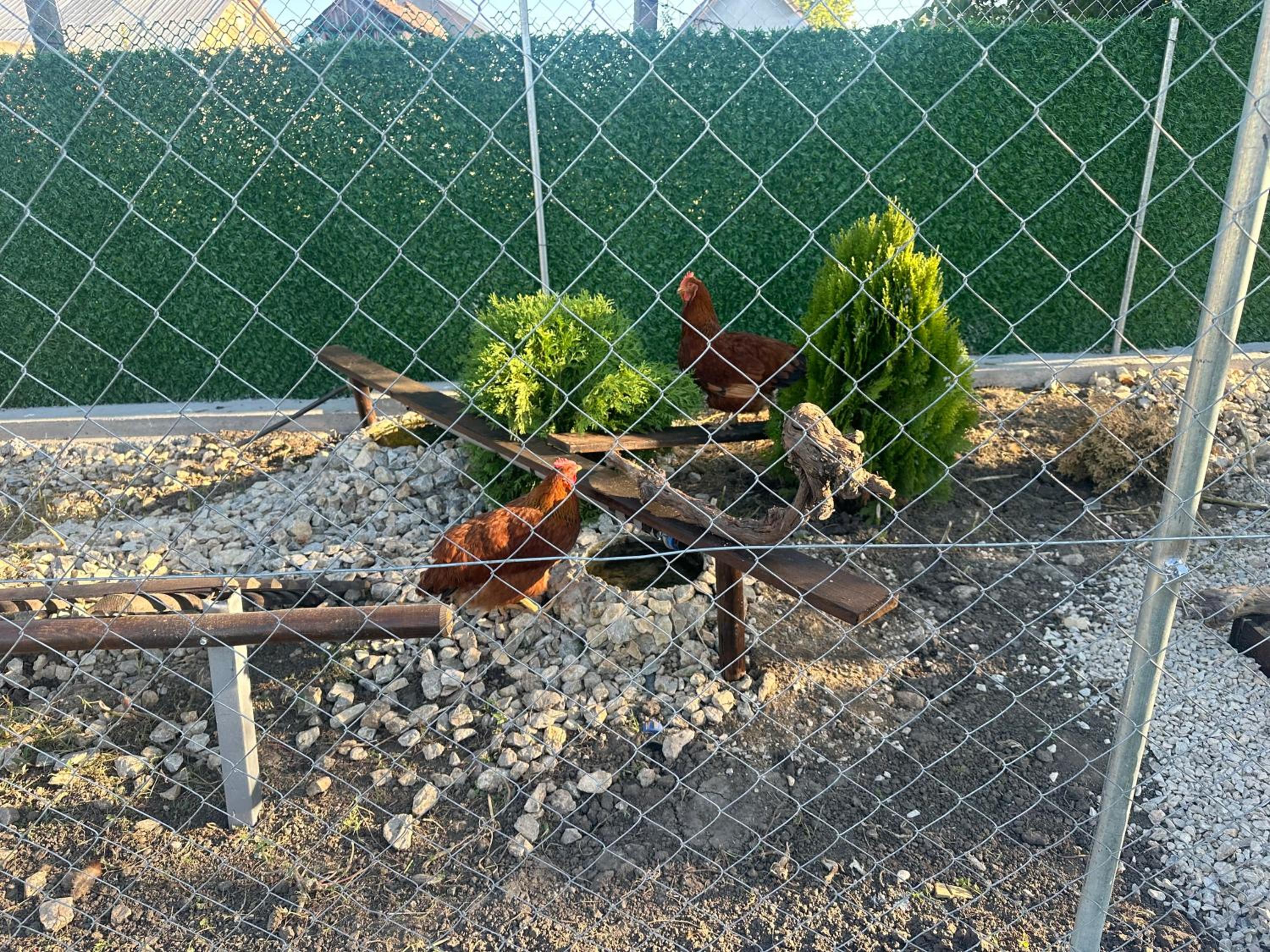Photo 20