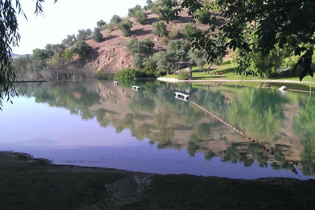 Photo 40