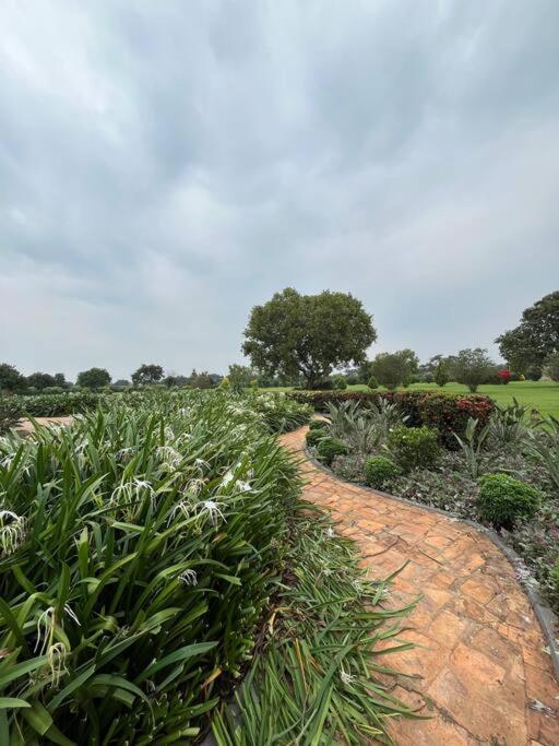 Close to Ziwa Rhino Sanctuary- Butiti Ranch B&B Stay view 4