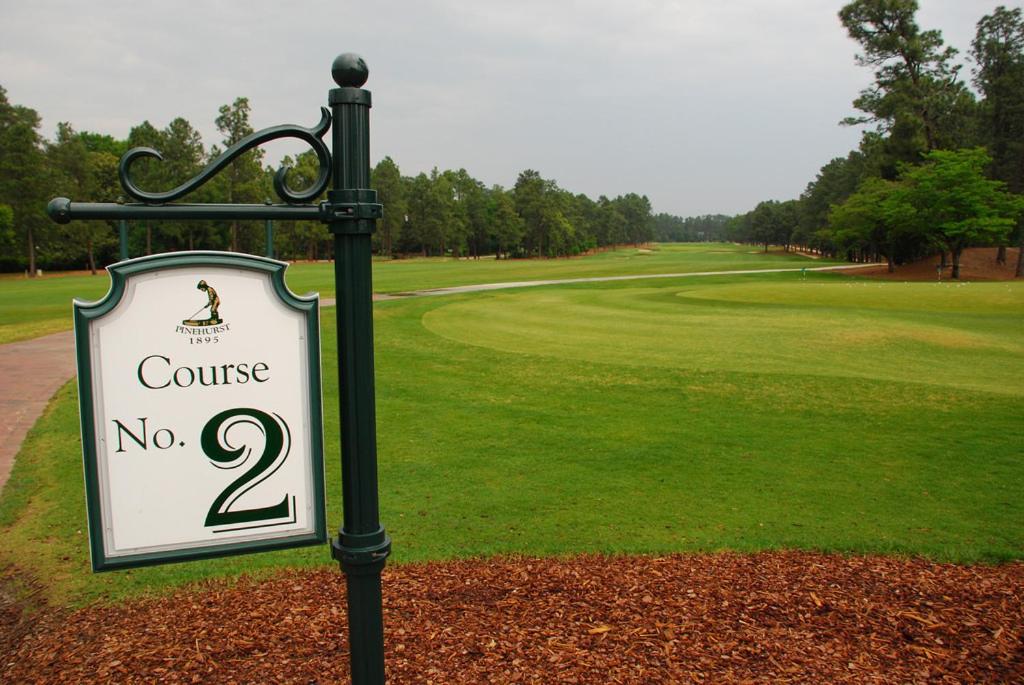 The Green Tee Suite