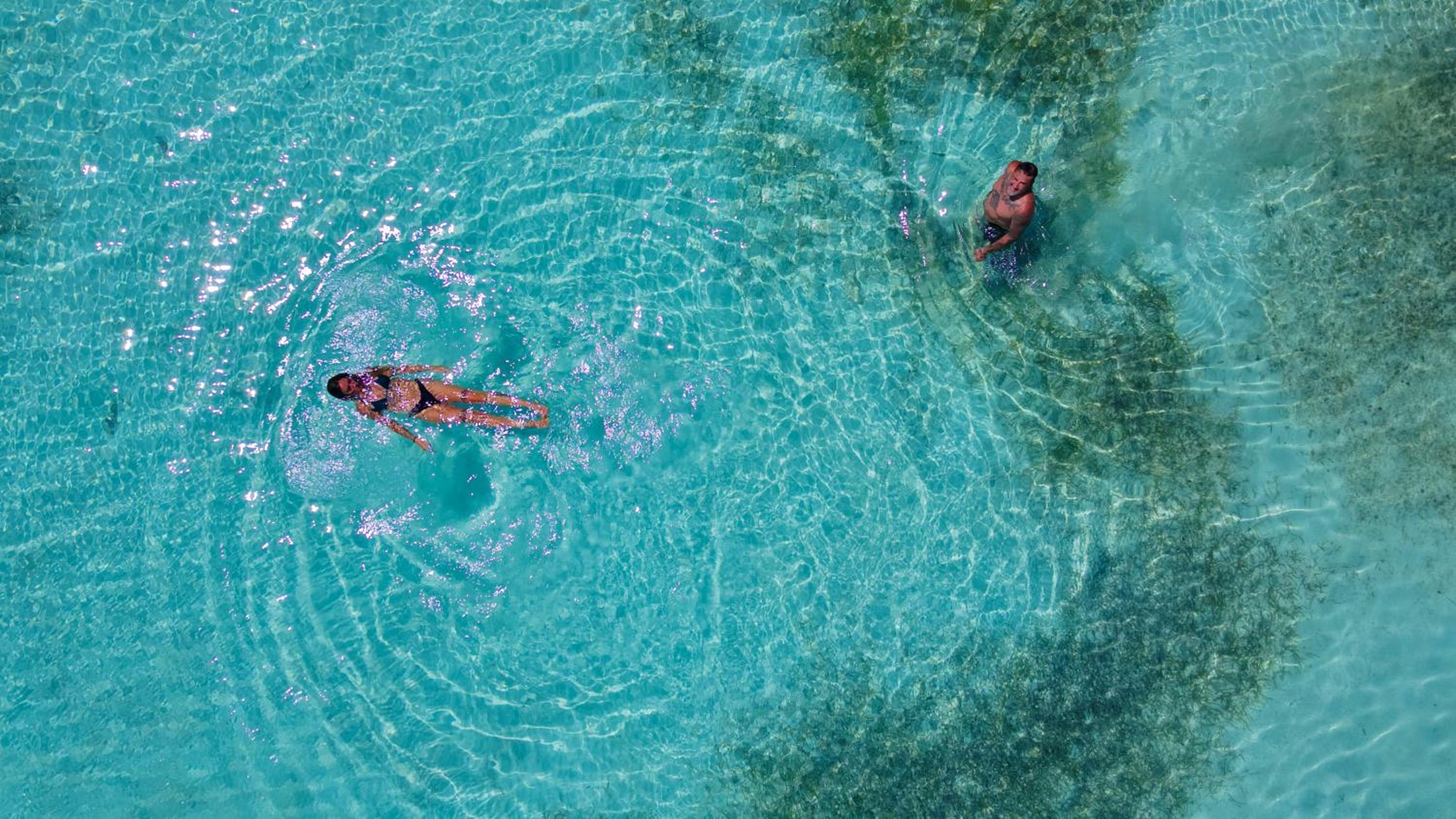Medusa Hostel Isla Tintipan