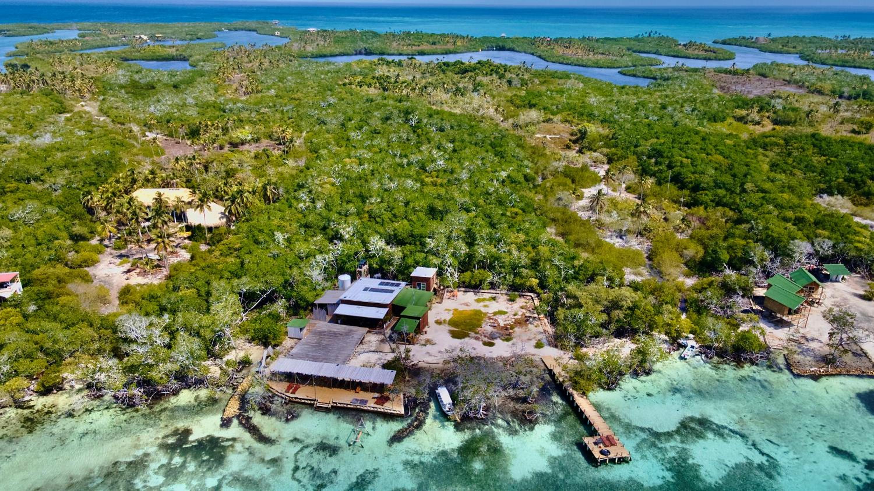 Medusa Hostel Isla Tintipan