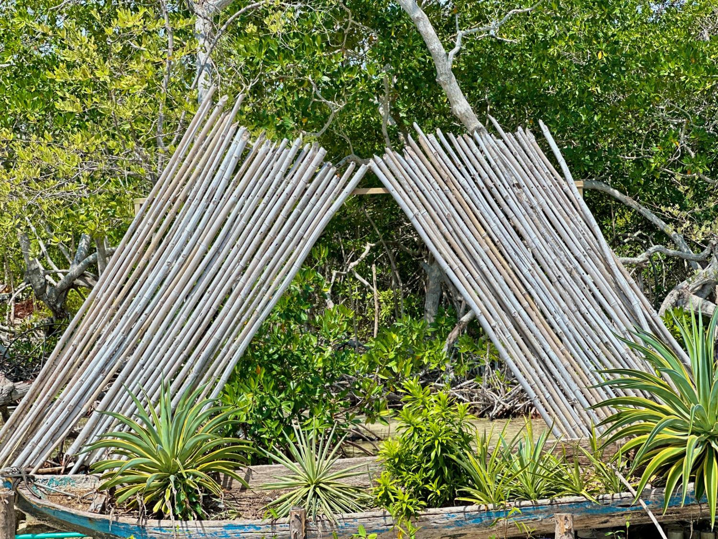 Medusa Hostel Isla Tintipan