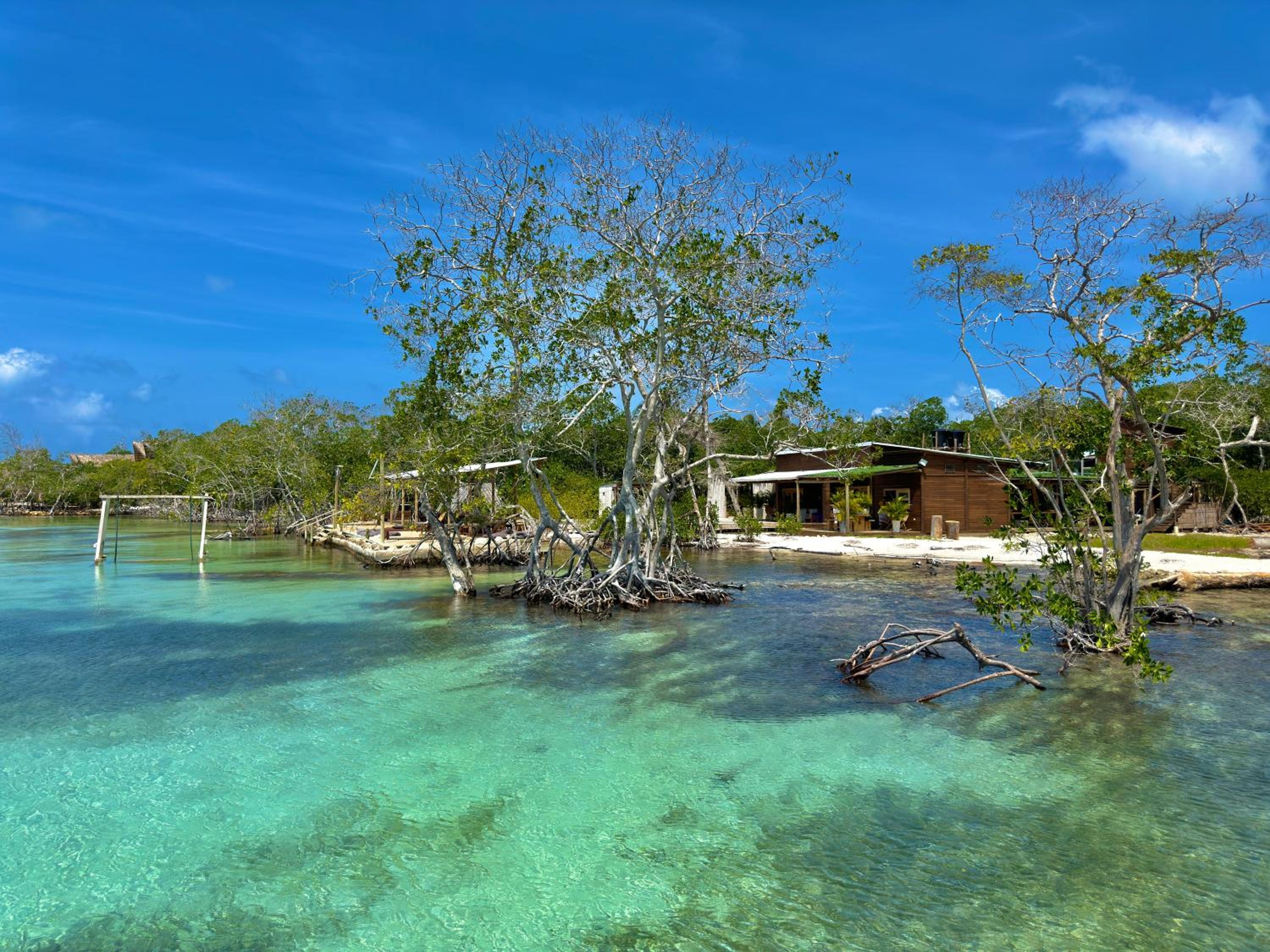 Medusa Hostel Isla Tintipan