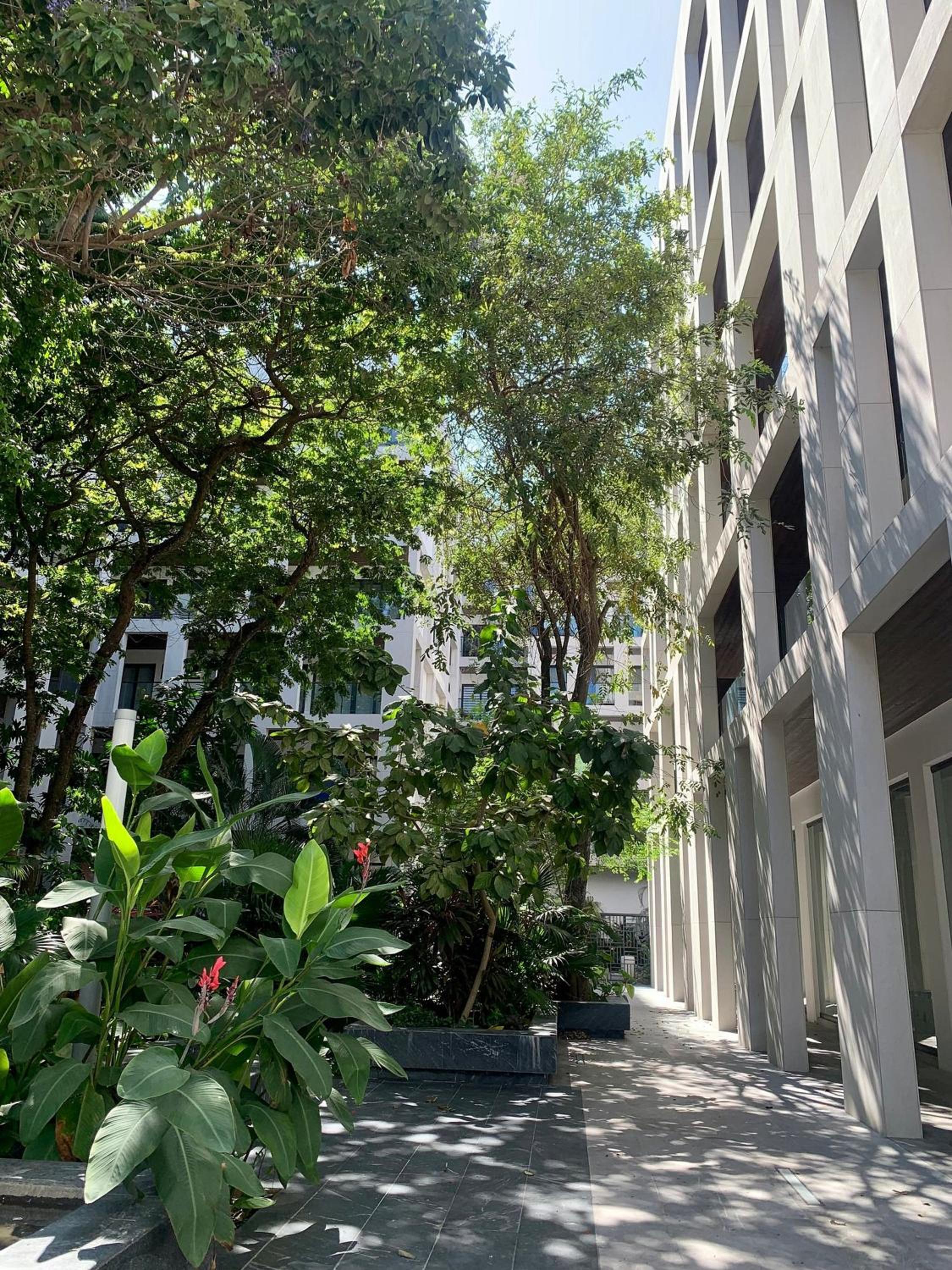 Ipana 2 bedrooms 3 blocks from the Sea. view 2