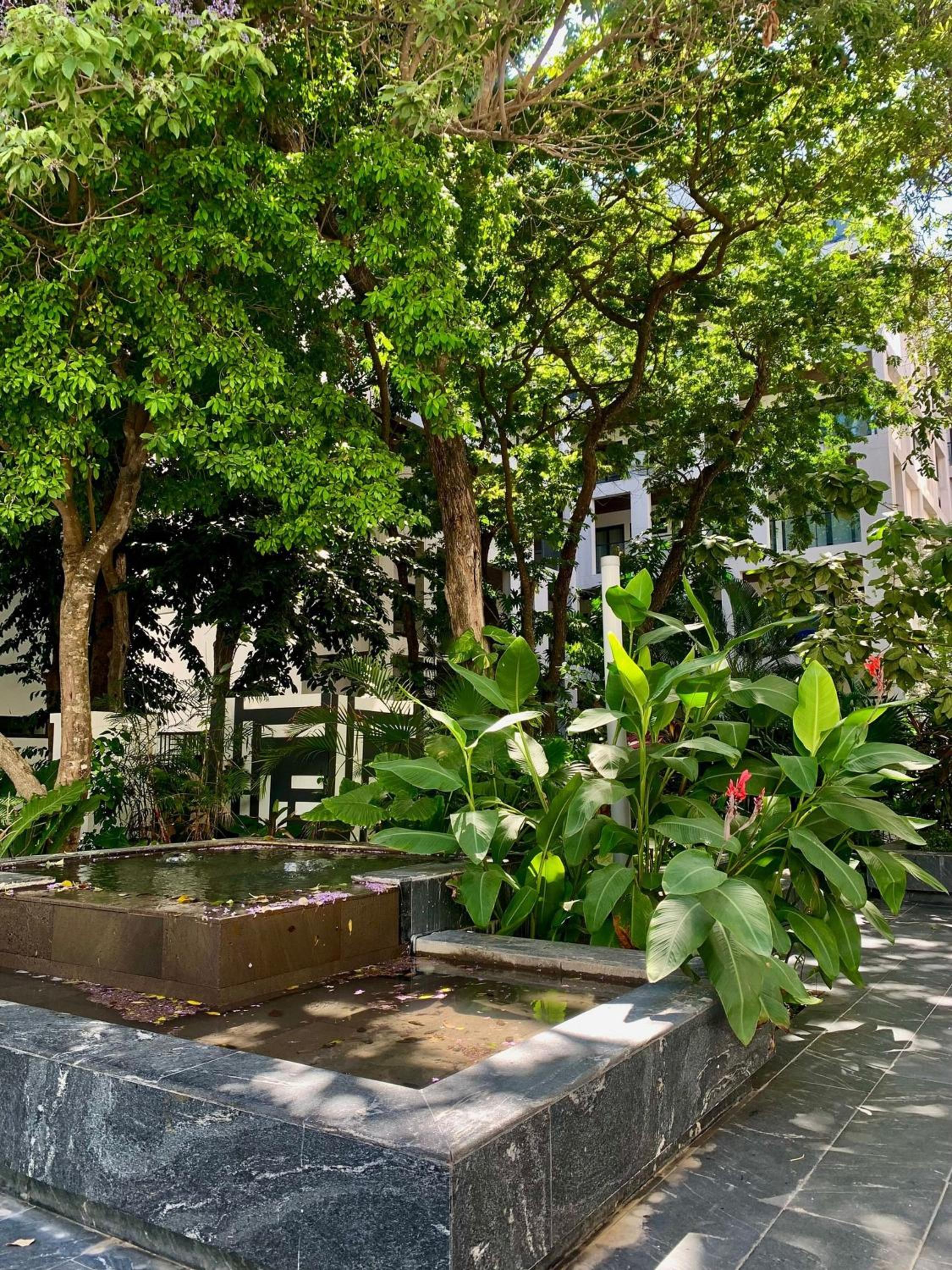 Ipana 2 bedrooms 3 blocks from the Sea. view 3