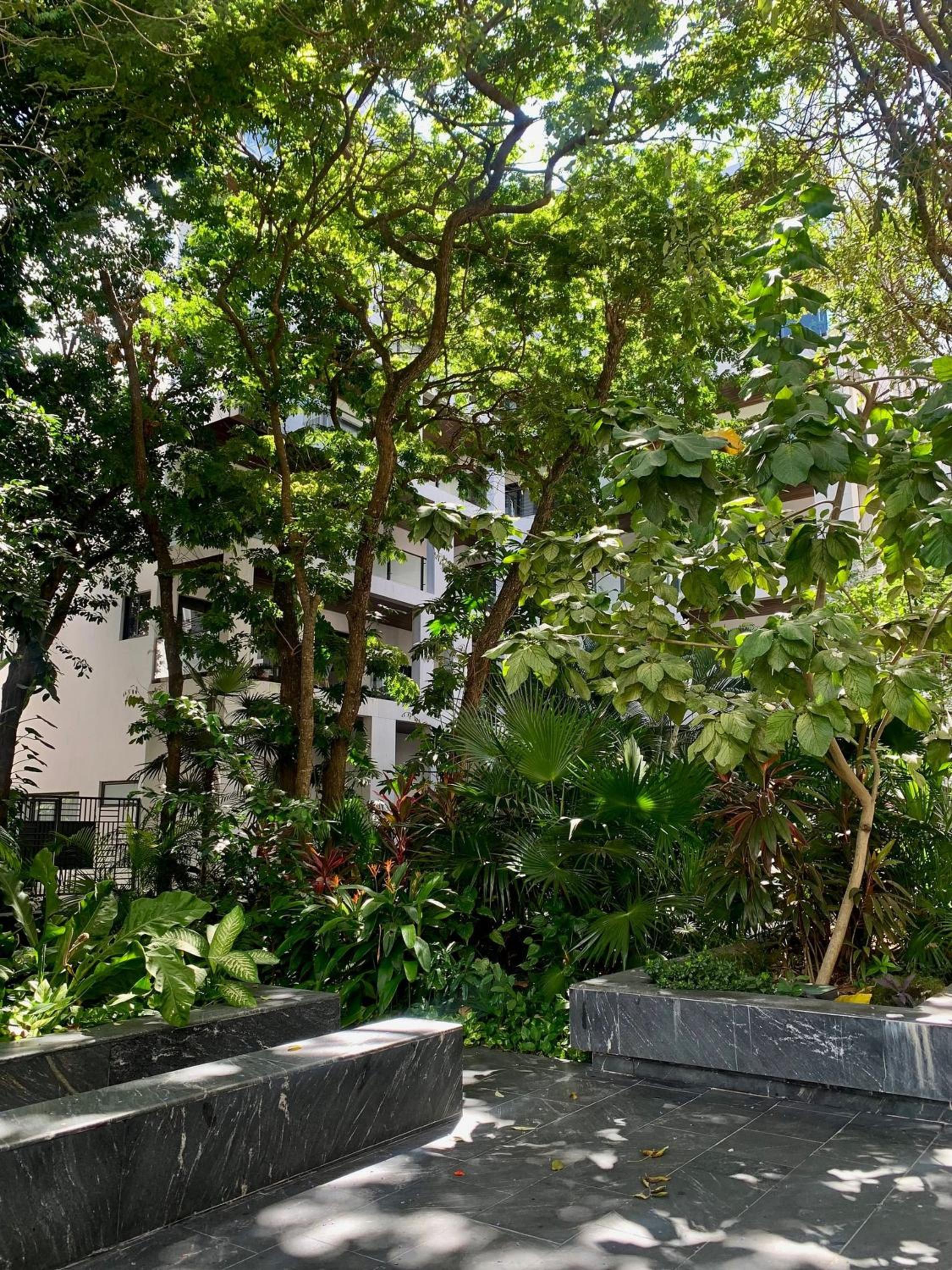Ipana 2 bedrooms 3 blocks from the Sea. view 4