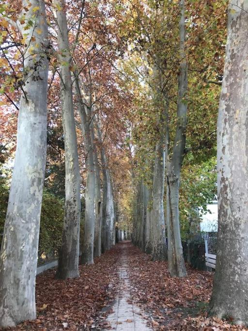 Danube Lupa Island holiday home-close to Budapest