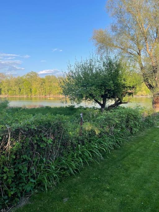 Danube Lupa Island holiday home-close to Budapest
