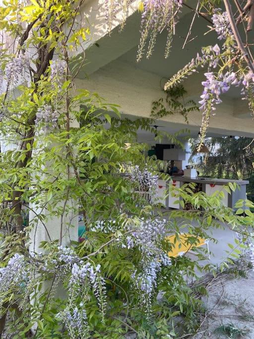 Danube Lupa Island holiday home-close to Budapest