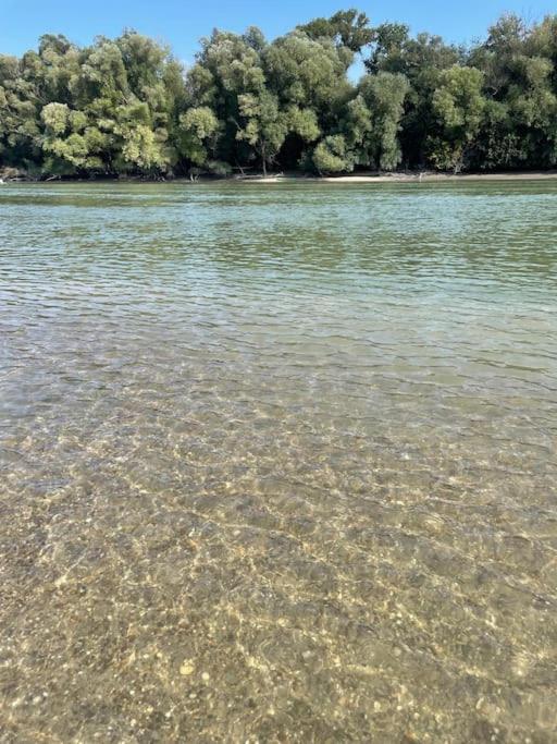 Danube Lupa Island holiday home-close to Budapest