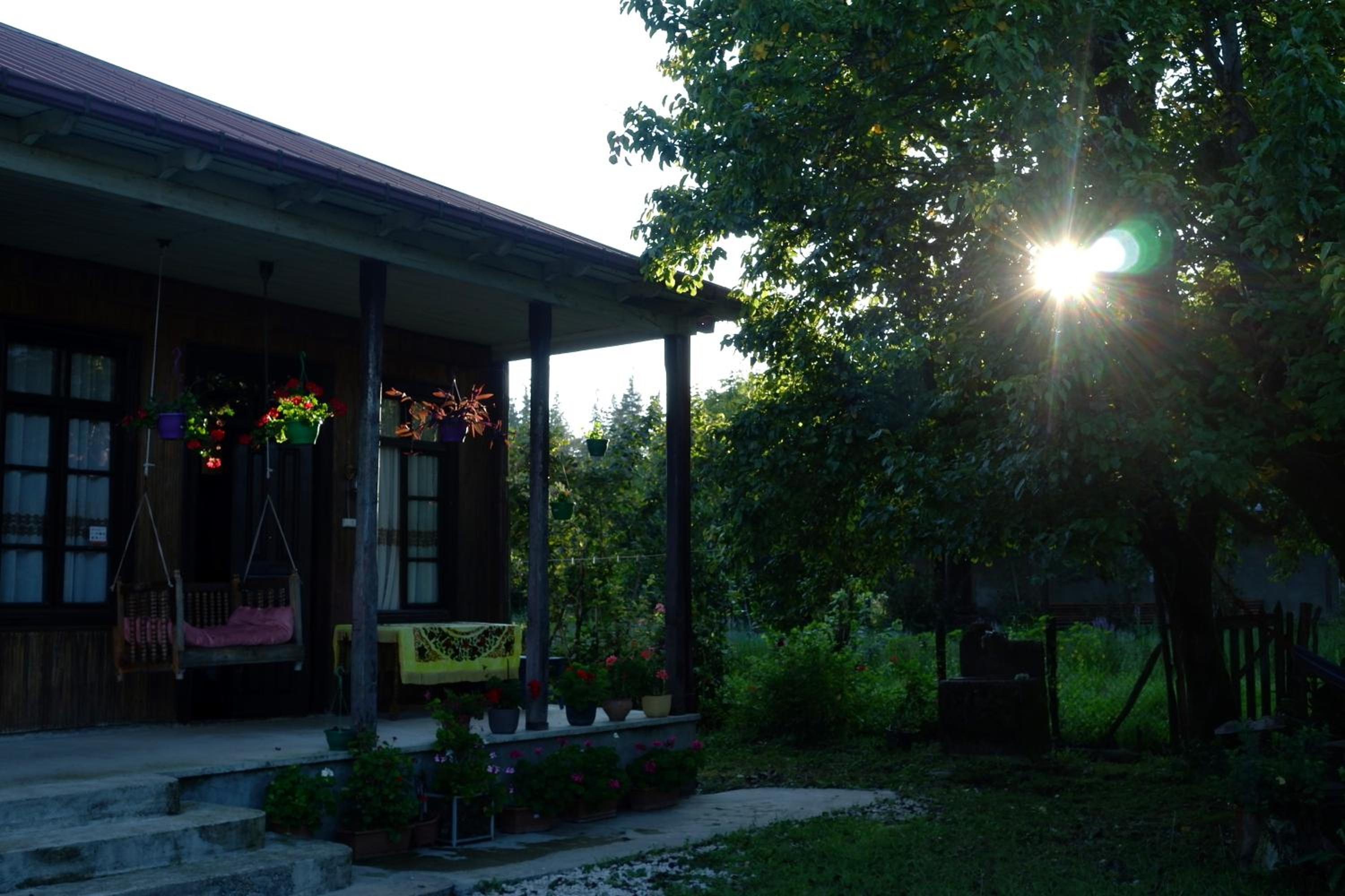 Martvili Guest House OASIS view 3