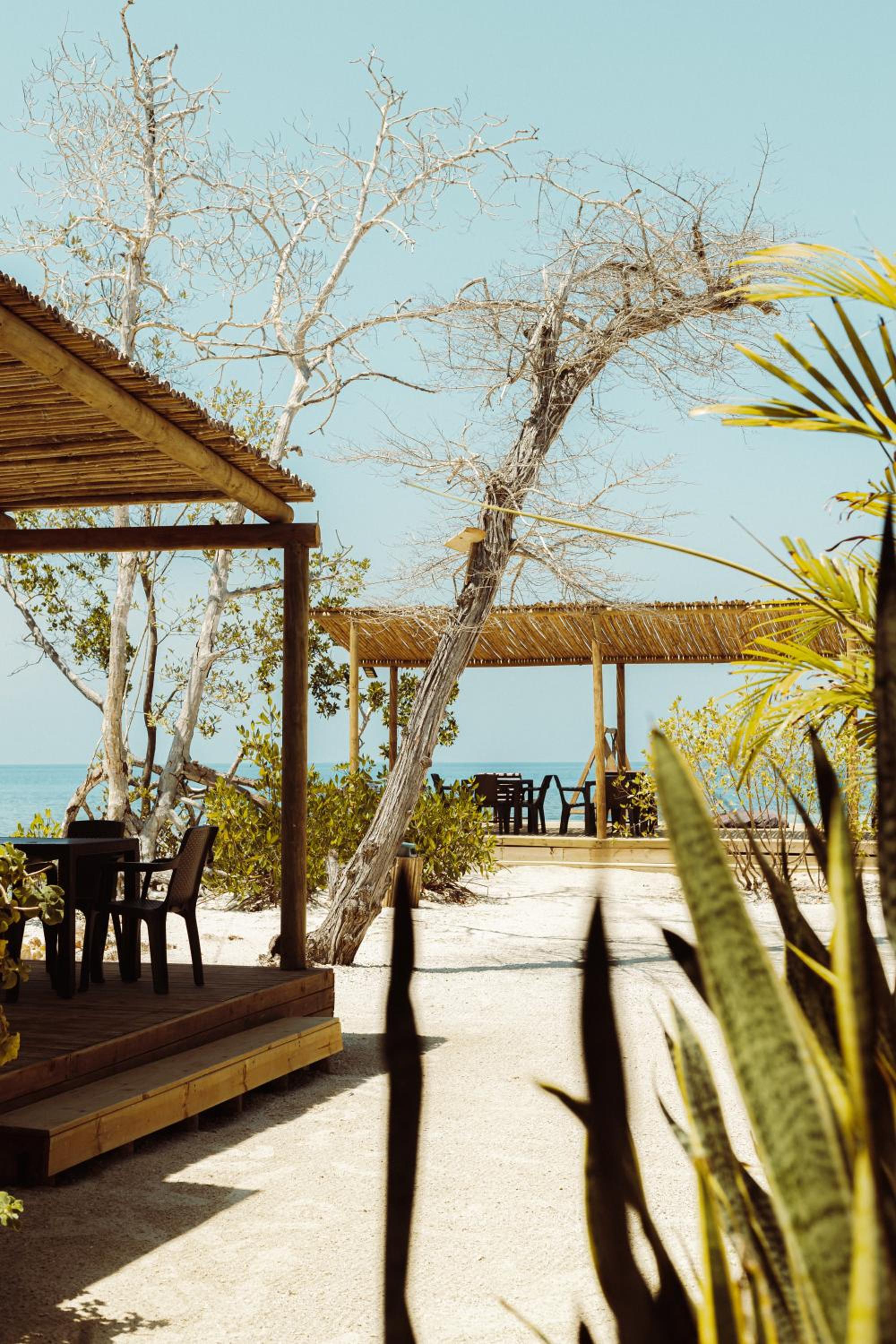 Medusa Hostel Isla Tintipan