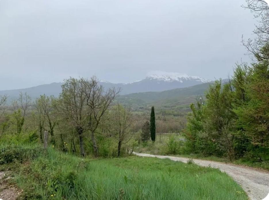 Casa Luciana view 2