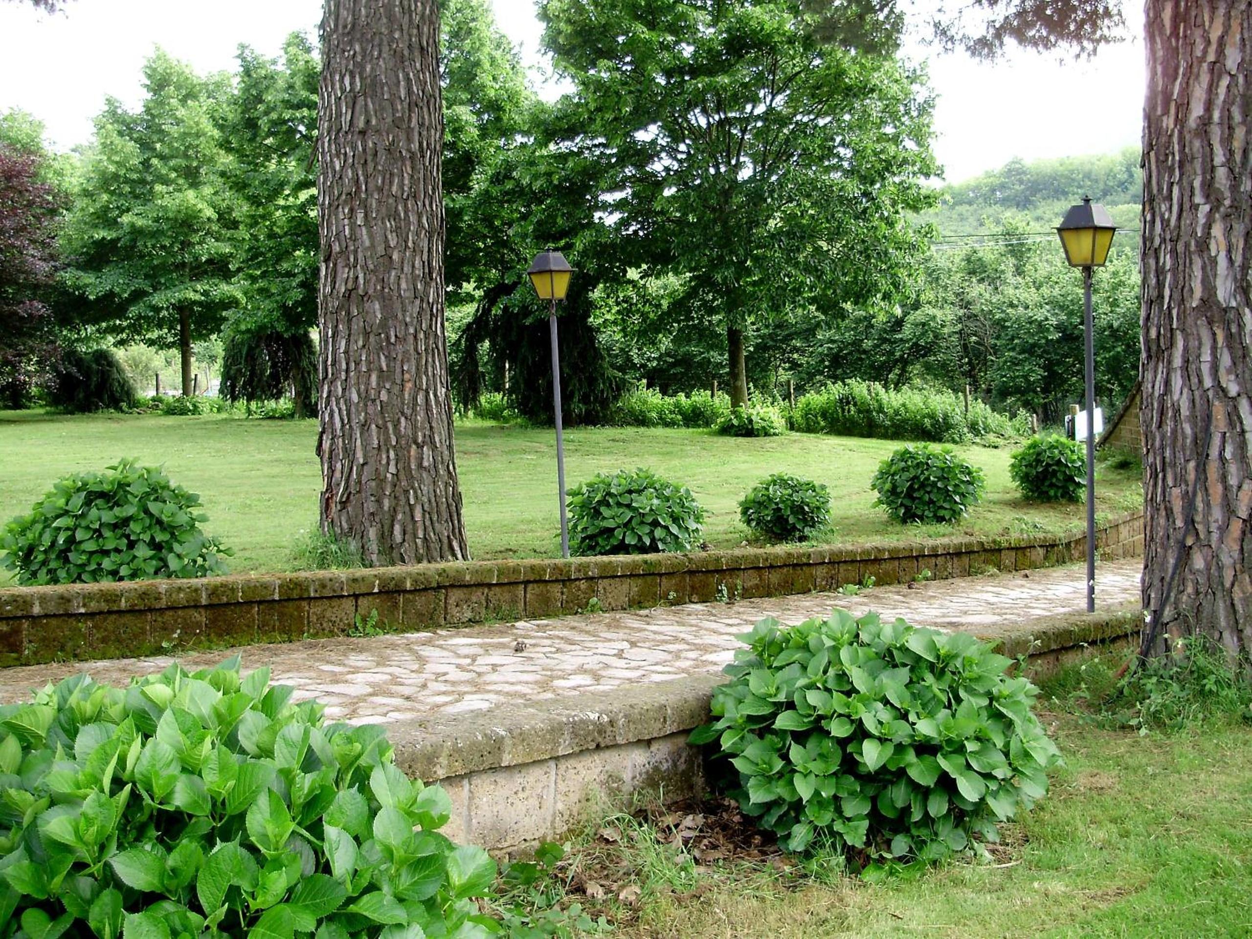 Photo 22