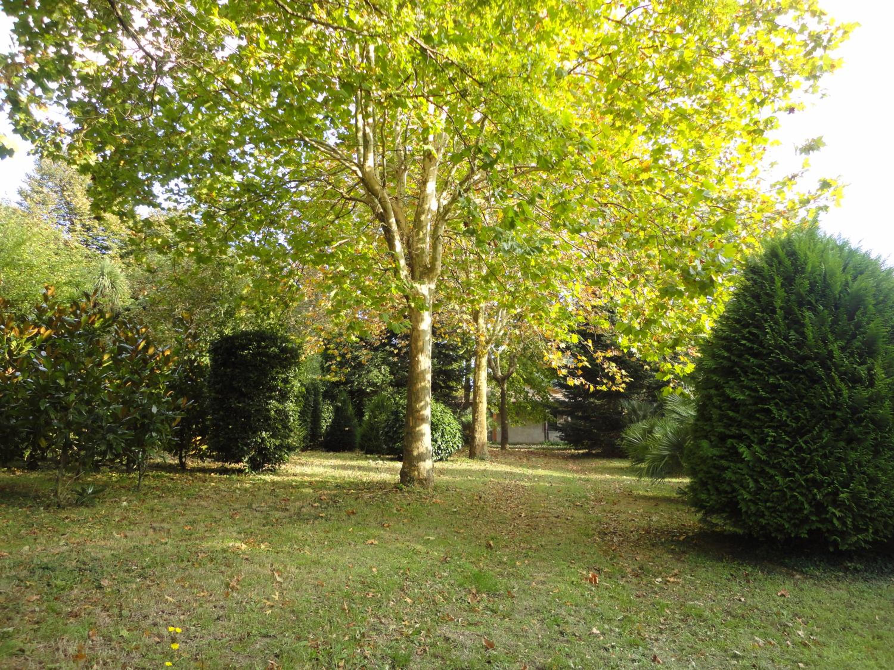 Photo 26