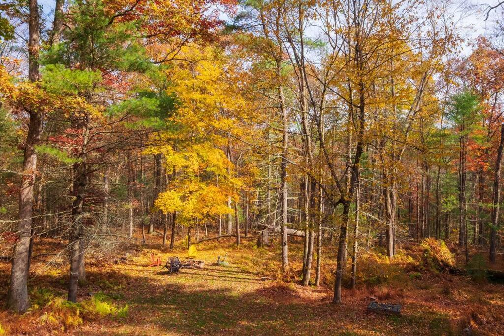 The Fern Hill Lodge Serenity on 20 Acres view 4