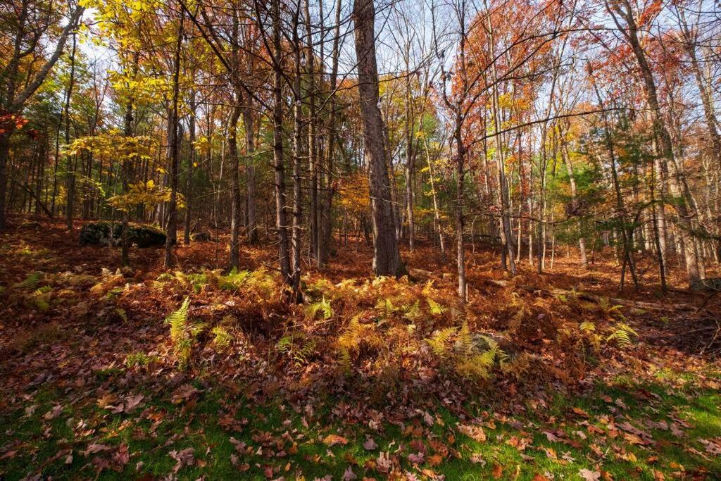 The Fern Hill Lodge Serenity on 20 Acres view 3