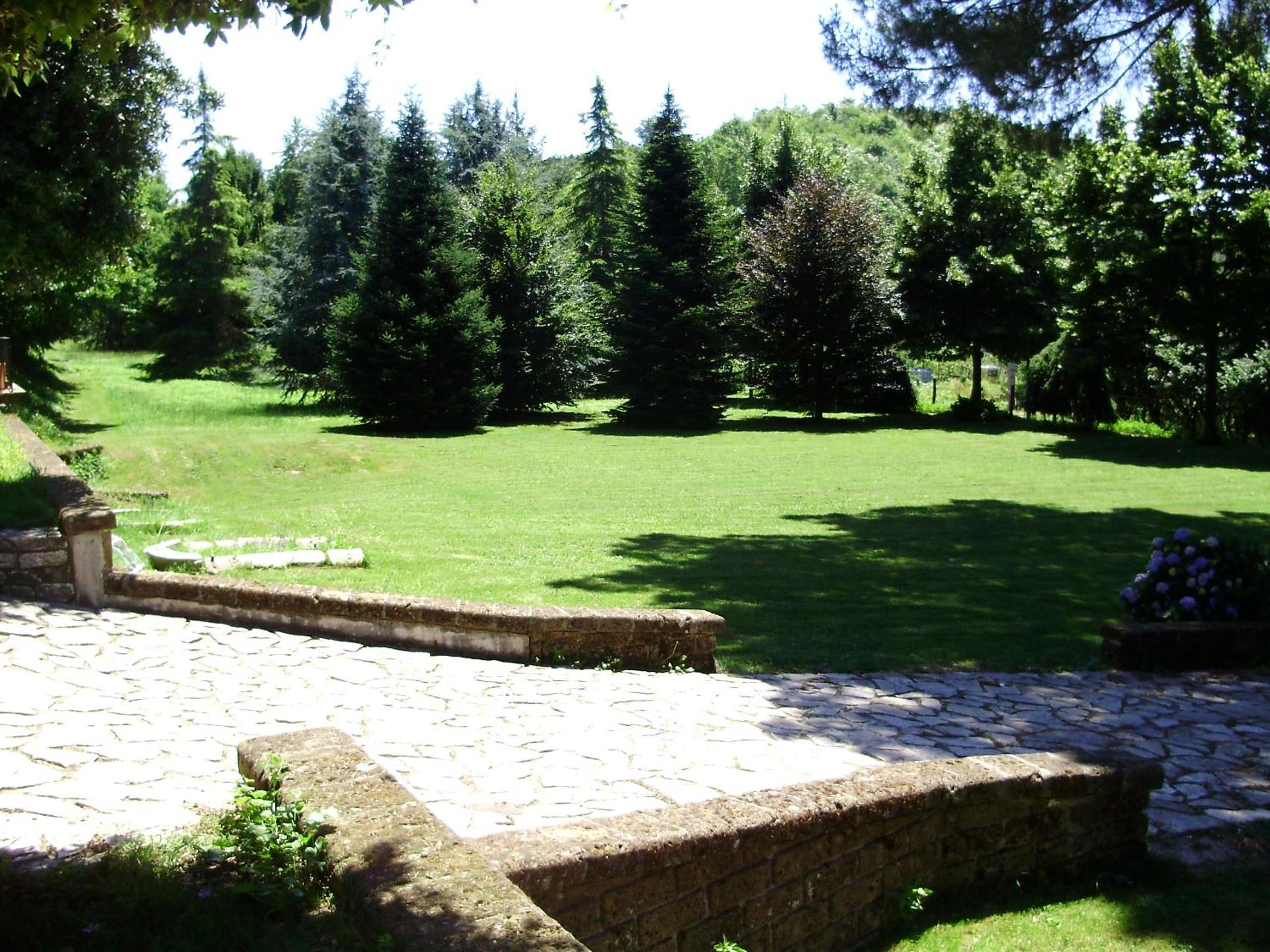 Photo 24