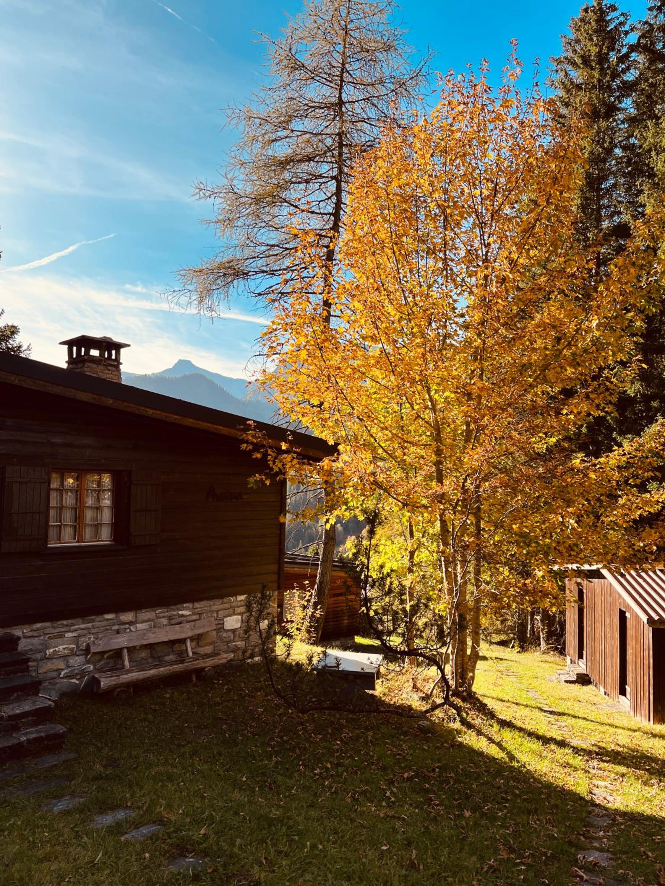 Schönes Chalet in Adelboden