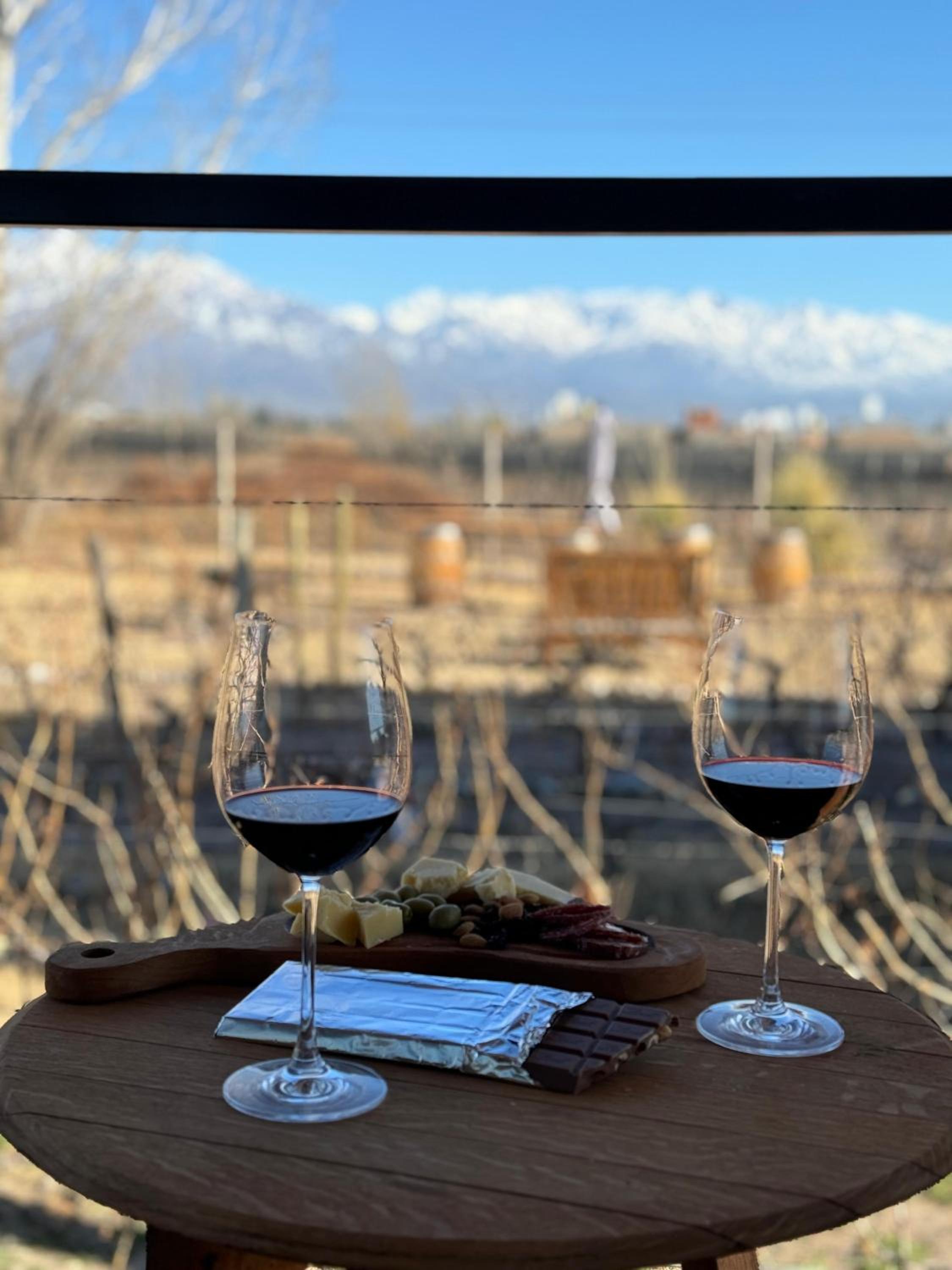 La Viñita Wine Lodge