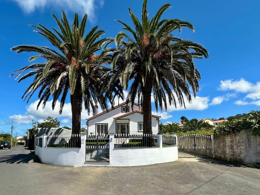Palm House Azores view 2