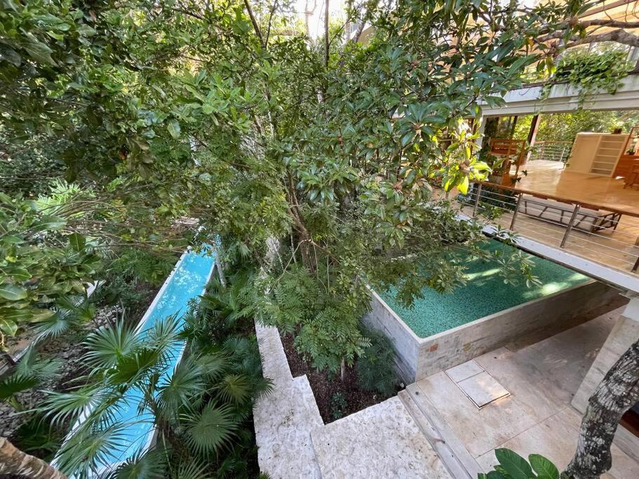 Tropical Escape